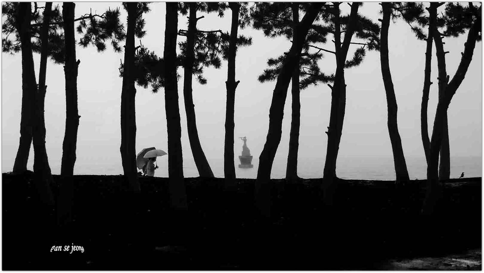 PHOTO BY jps | Canon EOS R6 | 2024:06:09 08:26:47 | ISO-200 | 1/400 sec | f 6.3 | 50 mm | EV=0.3 | ● WIDTH:1615 pixels  HEIGHT:913 pixels