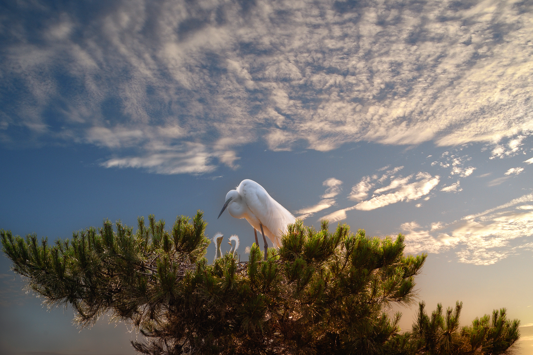   | PHOTO BY : 光陽/김덕수  |