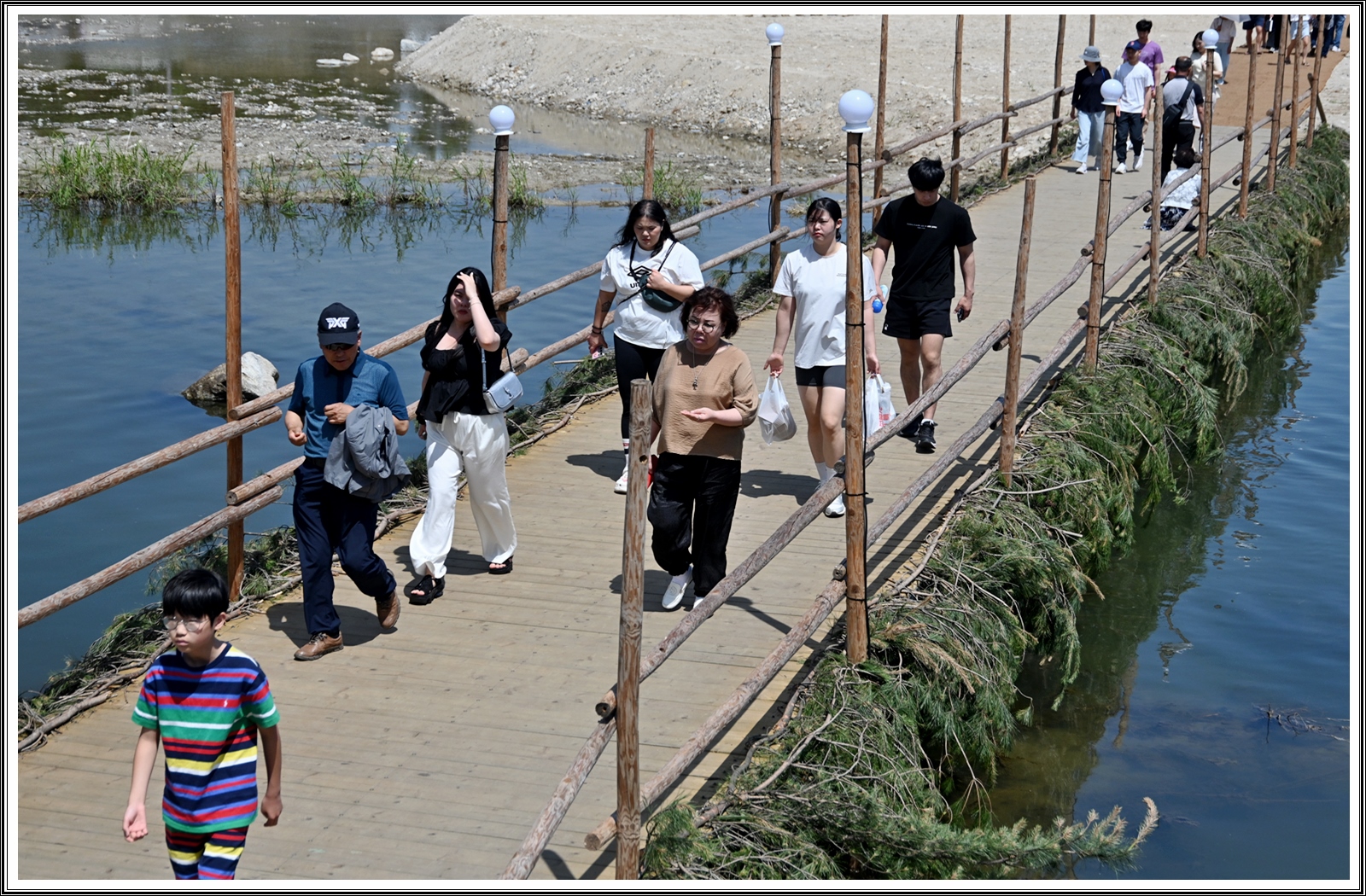 PHOTO BY  | NIKON Z 7_2 | 2024:06:08 22:48:58 | ISO-250 | 1/800 sec | f 7.1 | 58 mm | EV=0 | ● WIDTH:8256 pixels  HEIGHT:5504 pixels