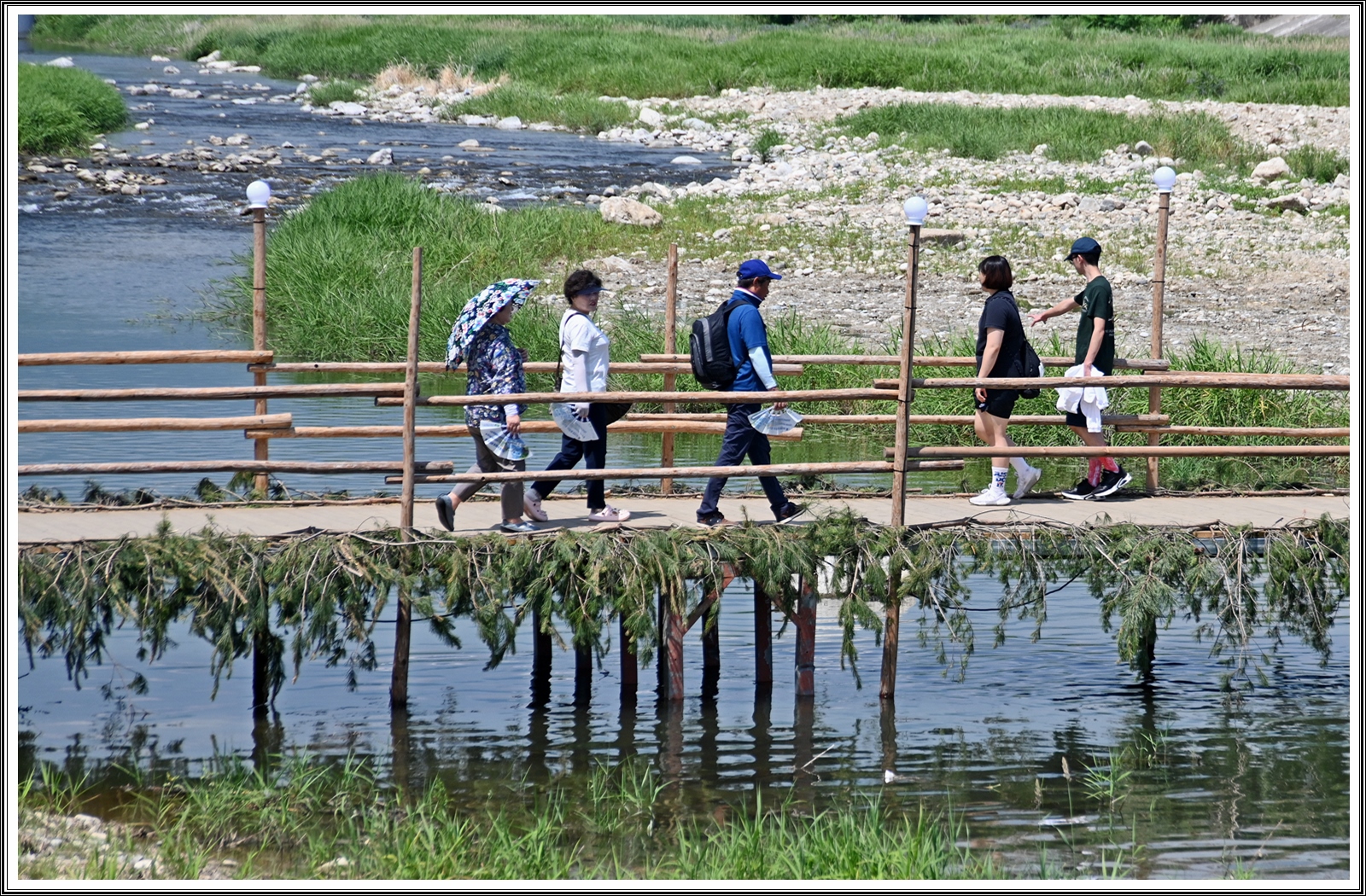 PHOTO BY  | NIKON Z 7_2 | 2024:06:08 22:51:51 | ISO-250 | 1/500 sec | f 5.6 | 120 mm | EV=0 | ● WIDTH:8256 pixels  HEIGHT:5504 pixels