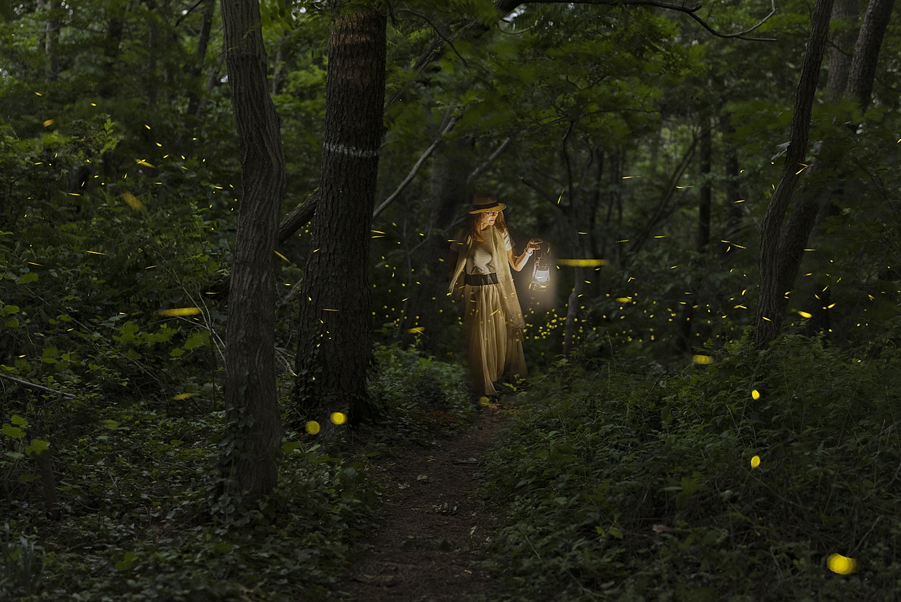   | PHOTO BY : 조현래  |