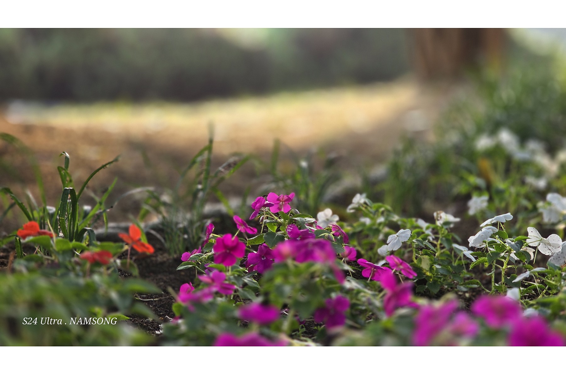 PHOTO BY  | Galaxy S24 Ultra | 2024:06:11 06:54:02 | ISO-50 | 1/239 sec | f 2.4 | 7.9 mm | EV=0 | ● WIDTH:4000 pixels  HEIGHT:2252 pixels