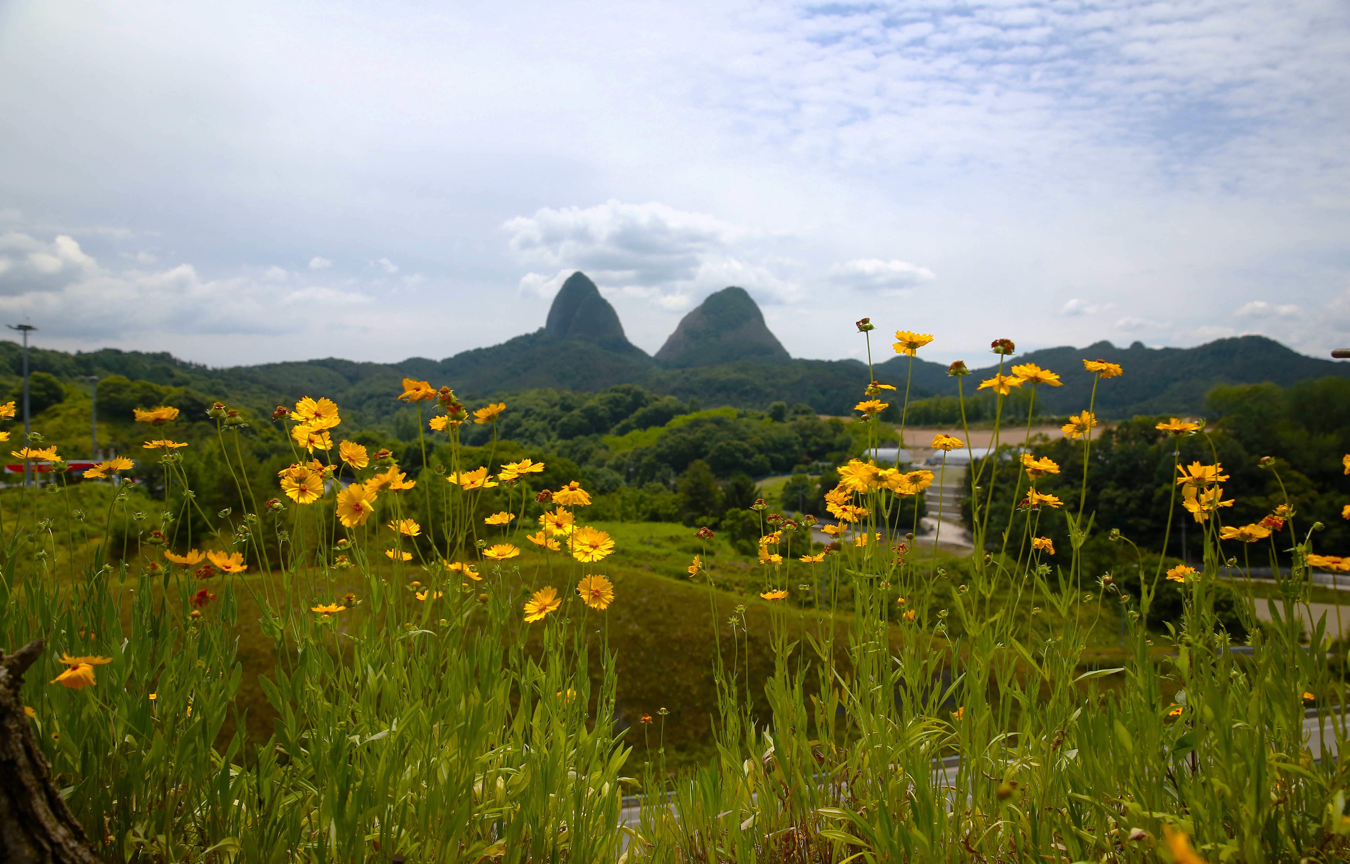 PHOTO BY  | Canon EOS 5D Mark III | 2024:06:06 12:42:43 | ISO-640 | 1/640 sec | f 5.6 | 24 mm | EV=0 | ● WIDTH:  HEIGHT: