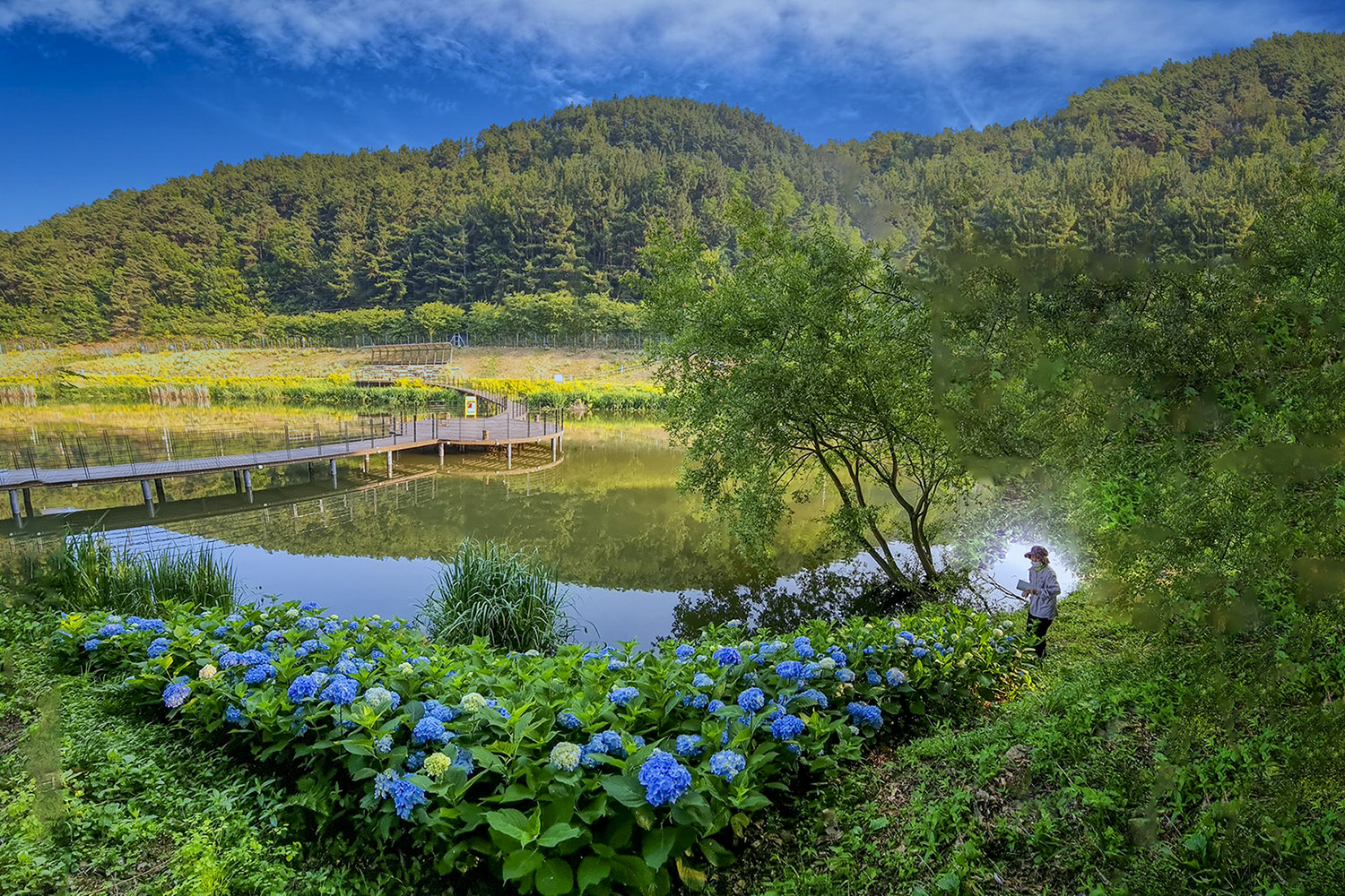 PHOTO BY  | SM-G998N | 2024:06:11 06:44:30 | ISO- |  |  | 2.2 mm | EV=0 | ● WIDTH:1500 pixels  HEIGHT:1000 pixels