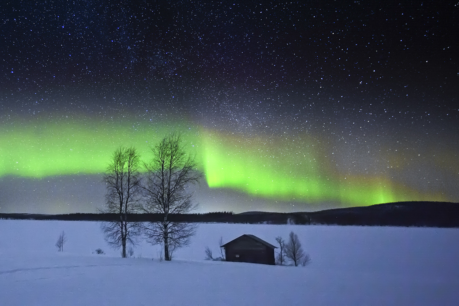 PHOTO BY  | CanonCanon  |  | ISO- |  |  |  | EV=0 | ● WIDTH:  HEIGHT: