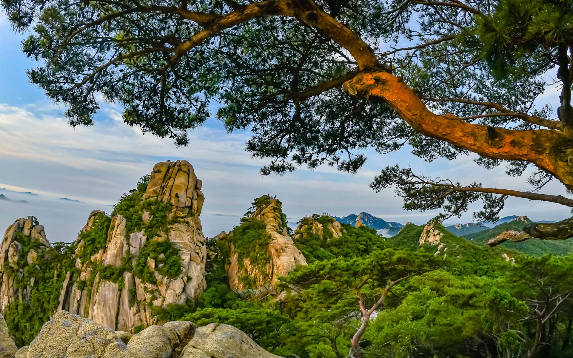 | PHOTO BY : 행월/이재익  |