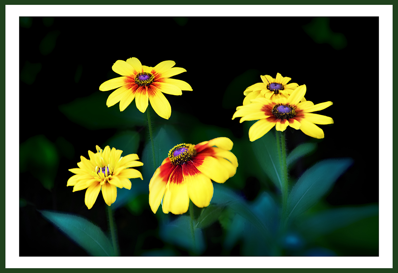 PHOTO BY  | ILCE-6500 | 2024:06:14 09:11:13 | ISO-500 | 1/60 sec | f 6.7 | 200 mm | EV=-0.5 | ● WIDTH:1300 pixels  HEIGHT:891 pixels