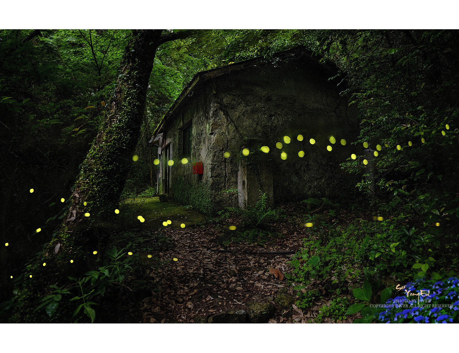 PHOTO BY  | NIKON Z 9 |  | ISO-1250 | 1/80 sec | f 2.8 | 21 mm | EV=0 | ● WIDTH:1600 pixels  HEIGHT:1231 pixels