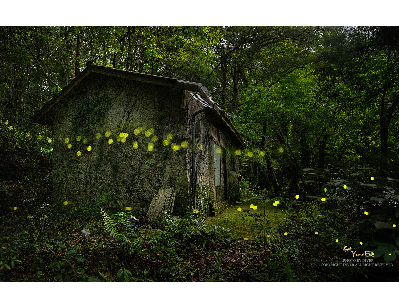 PHOTO BY  | NIKON Z 9 | 2024:06:14 18:54:53 | ISO-1250 | 1/80 sec | f 2.8 | 17.5 mm | EV=0 | ● WIDTH:1600 pixels  HEIGHT:1236 pixels