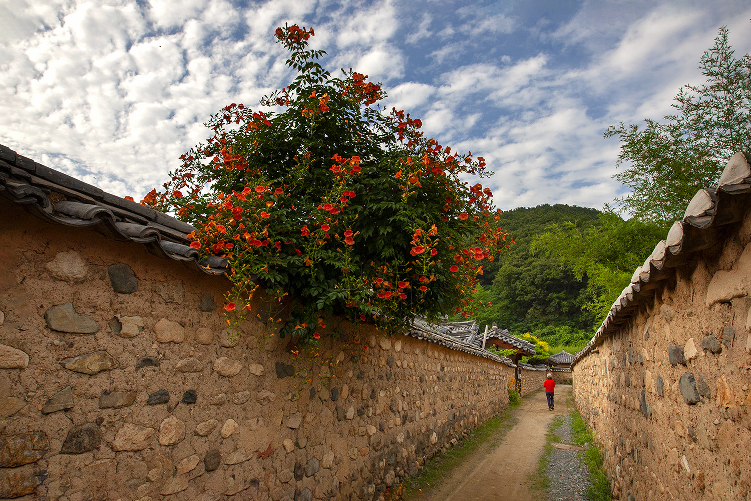 PHOTO BY  | CanonCanon  |  | ISO- |  |  |  | EV=0 | ● WIDTH:  HEIGHT: