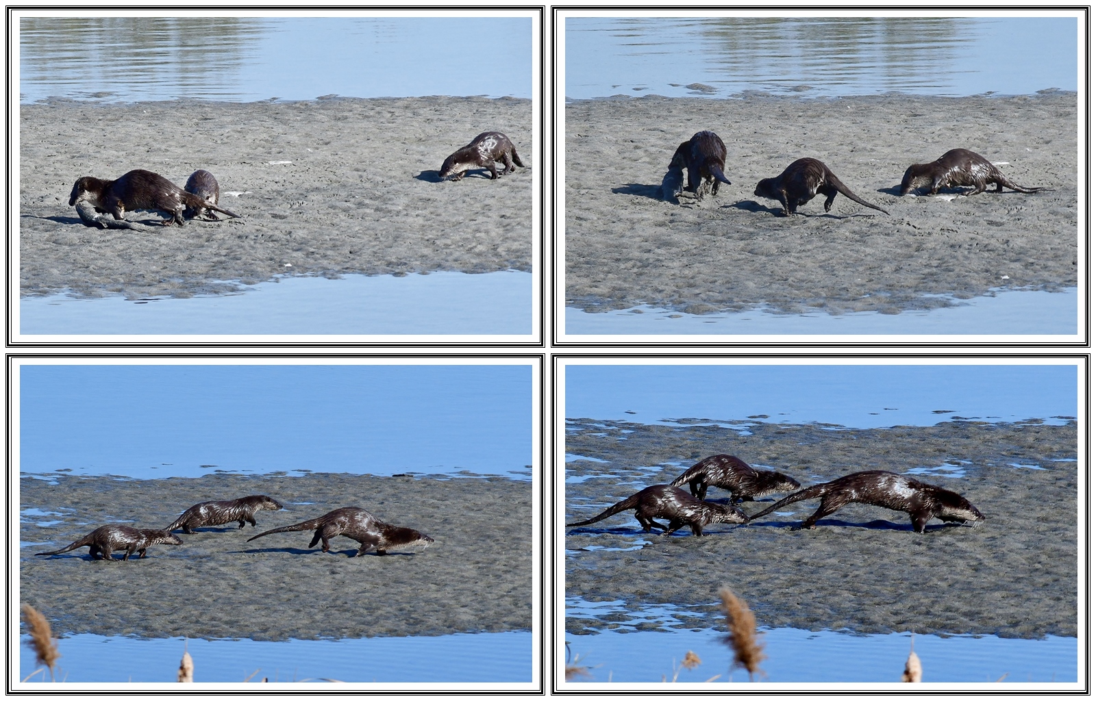   | PHOTO BY : 청산이종원  |