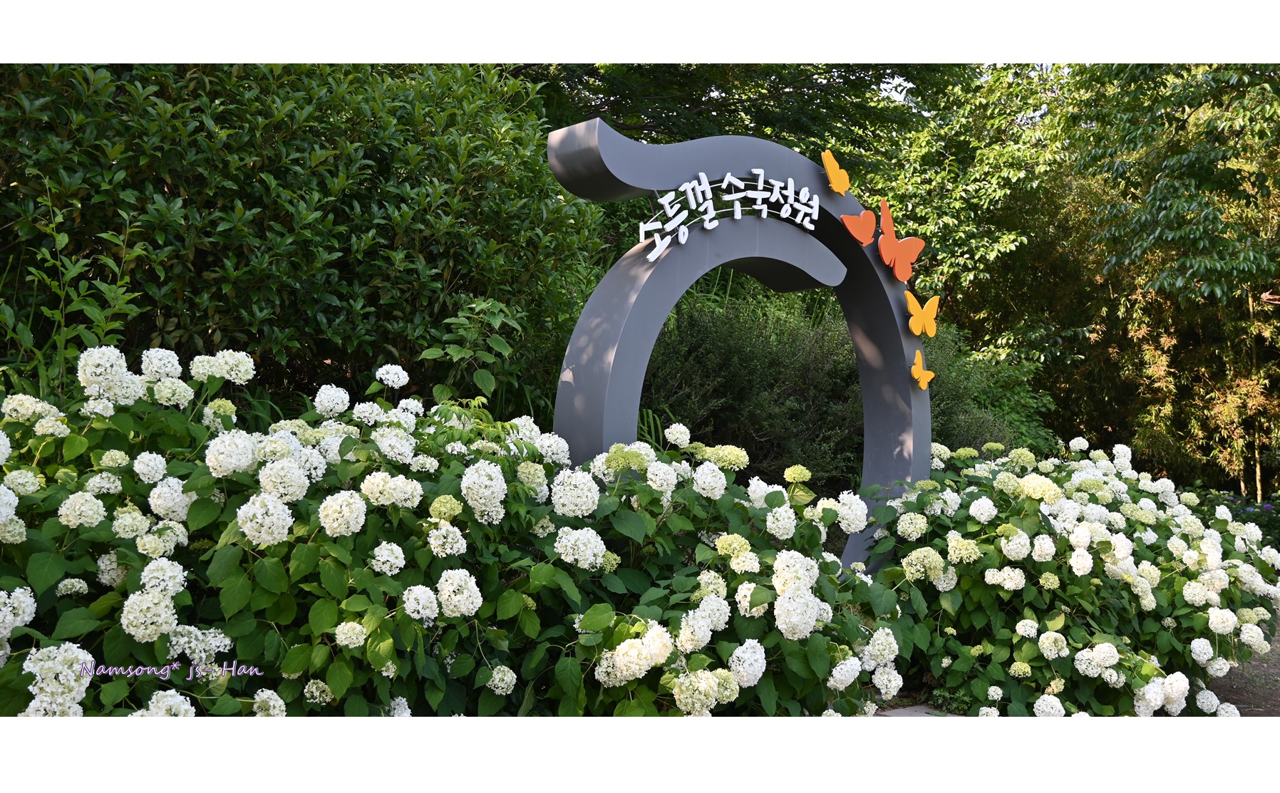 PHOTO BY HAN_JONGSOO | NIKON Z fc | 2024:06:13 16:57:07 | ISO-100 | 1/200 sec | f 4.5 | 22 mm | EV=-0.3 | ● WIDTH:5568 pixels  HEIGHT:3128 pixels