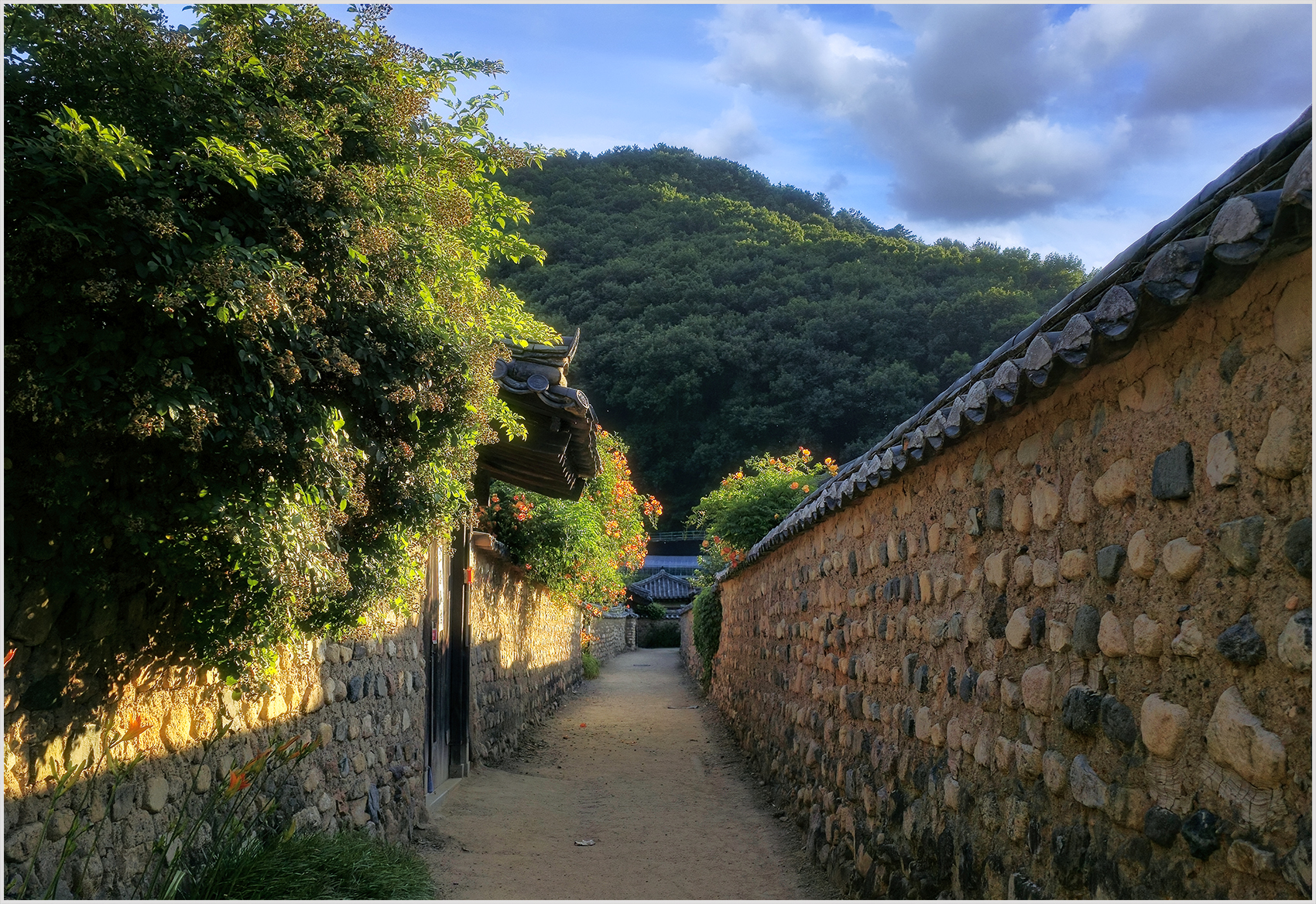 PHOTO BY  | Galaxy S24 Ultra | 2024:06:18 06:36:41 | ISO-12 | 1/2985 sec | f 1.7 | 6.3 mm | EV=0 | ● WIDTH:1700 pixels  HEIGHT:1168 pixels