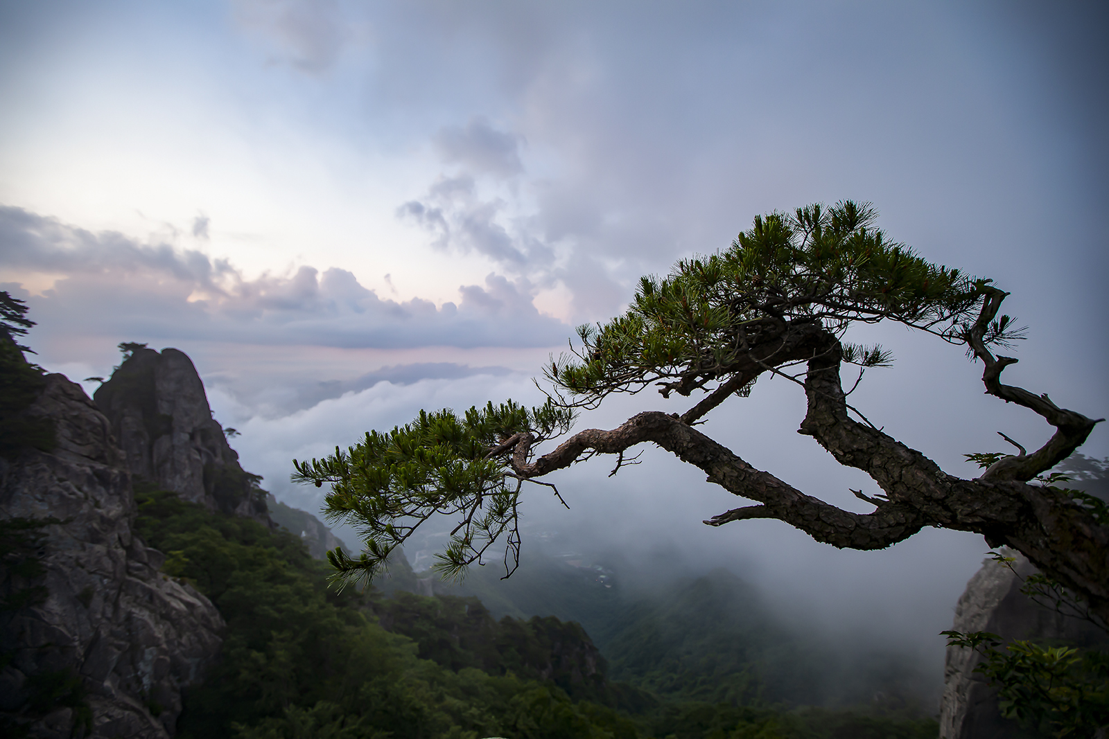 PHOTO BY  | Canon EOS 5D Mark IV | 2023:08:13 07:42:50 | ISO-200 | 1/30 sec | f 3.5 | 16 mm | EV=0 | ● WIDTH:1600 pixels  HEIGHT:1067 pixels