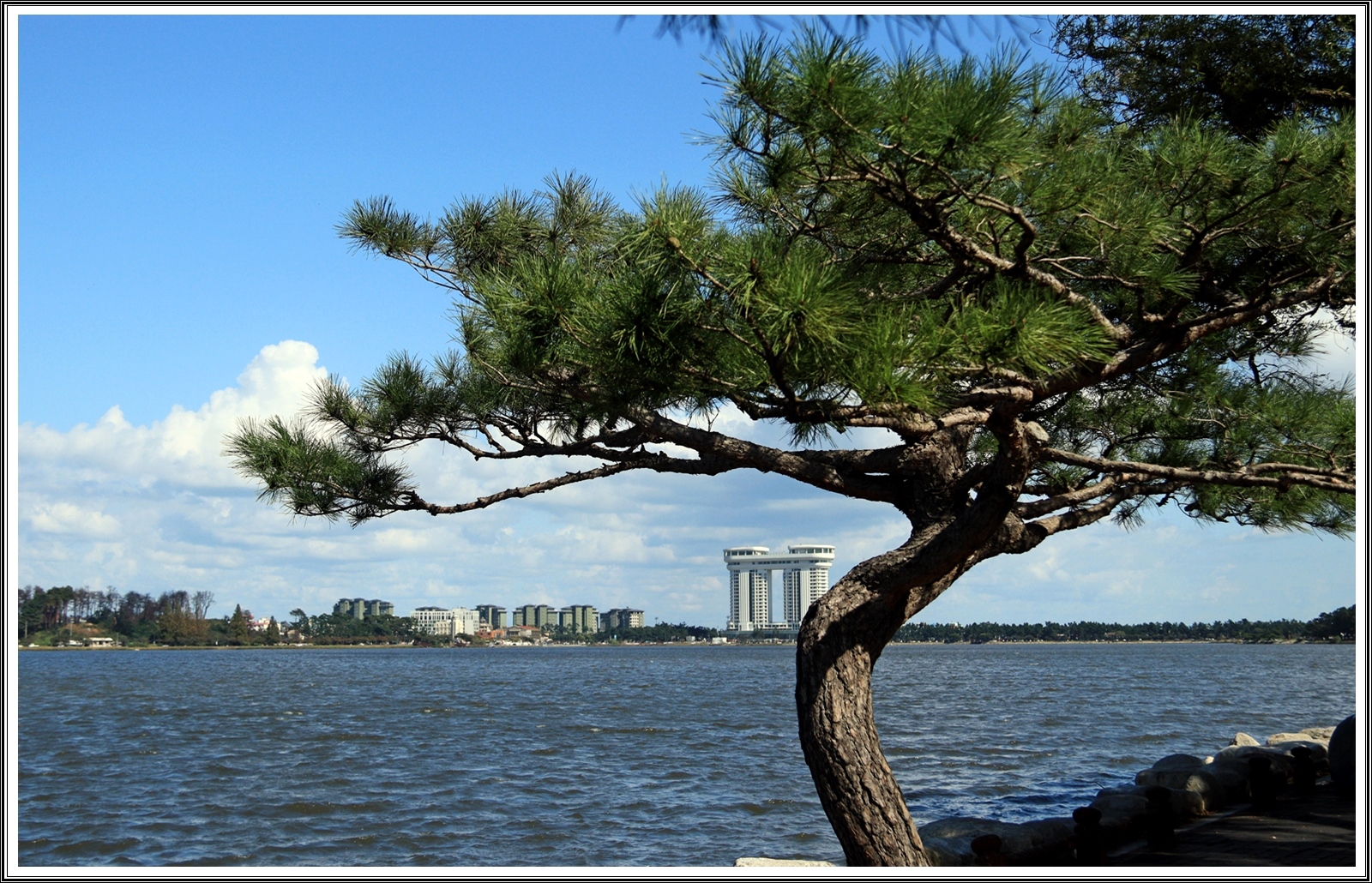 PHOTO BY  | Canon EOS 200D II | 2024:03:31 11:03:34 | ISO-200 | 1/800 sec | f 5 | 24 mm | EV=0 | ● WIDTH:6000 pixels  HEIGHT:4000 pixels