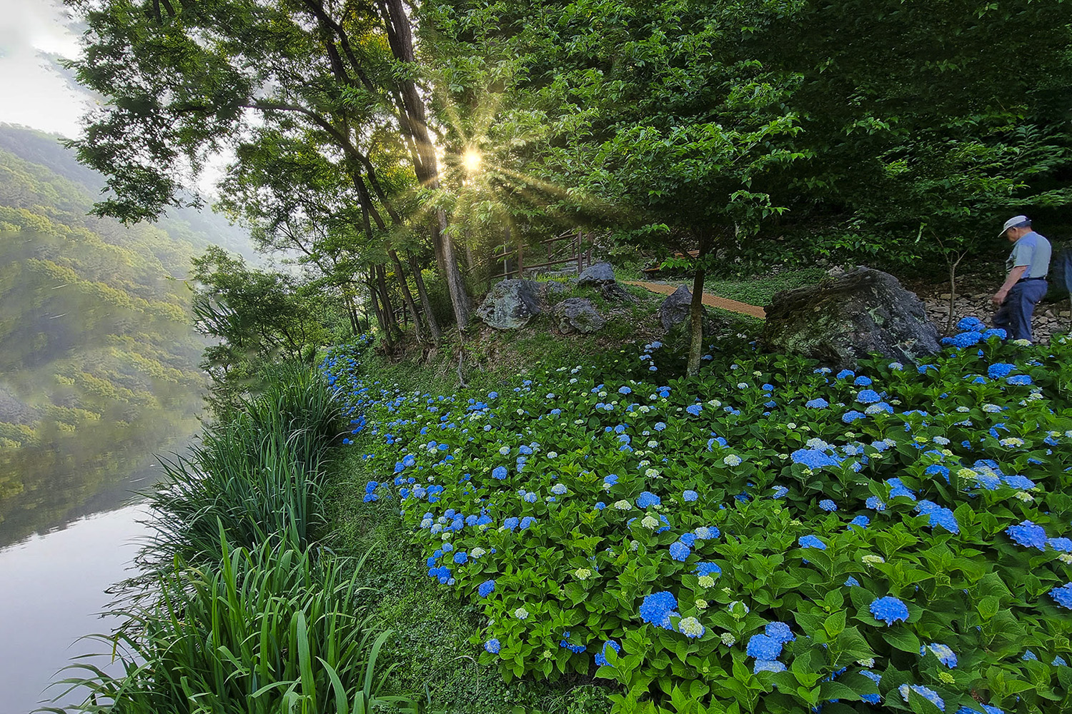 PHOTO BY  | SM-G998N | 2024:06:11 06:48:16 | ISO-50 | 1/125 sec | f 2.2 | 2.2 mm | EV=0 | ● WIDTH:1500 pixels  HEIGHT:1000 pixels