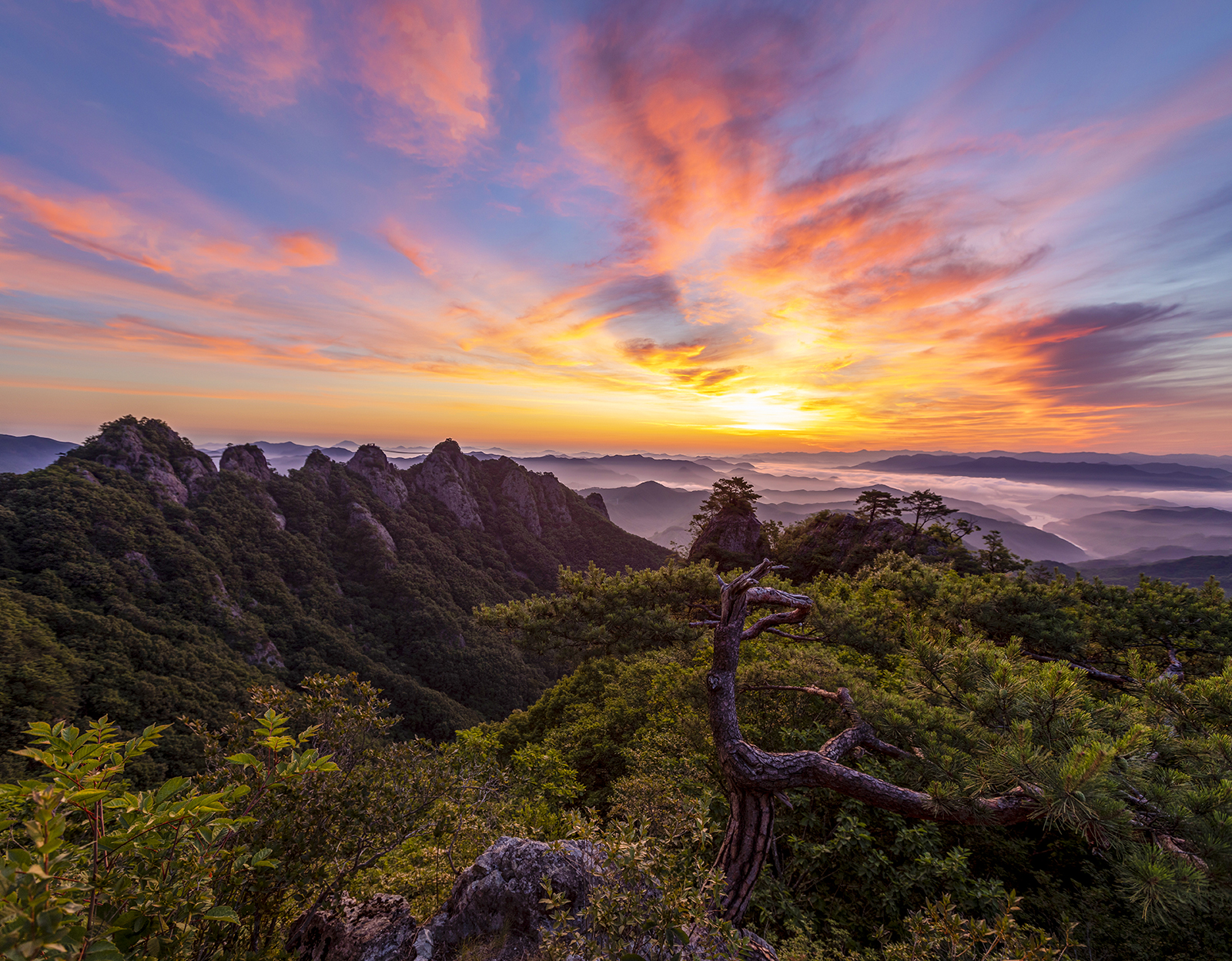 PHOTO BY  | Canon EOS 5D Mark IV | 2023:08:14 07:35:25 | ISO-100 | 1/5 sec | f 5.6 | 16 mm | EV=0 | ● WIDTH:1600 pixels  HEIGHT:1248 pixels