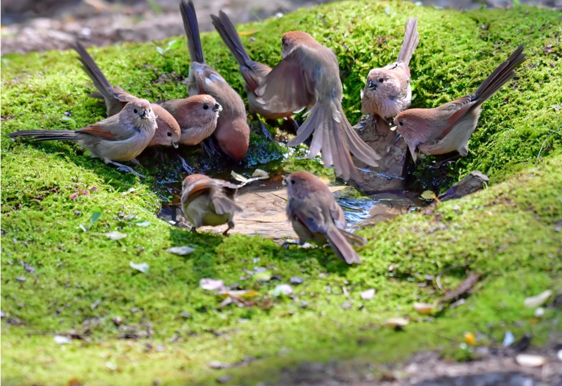   | PHOTO BY : 종학/최정섭  |