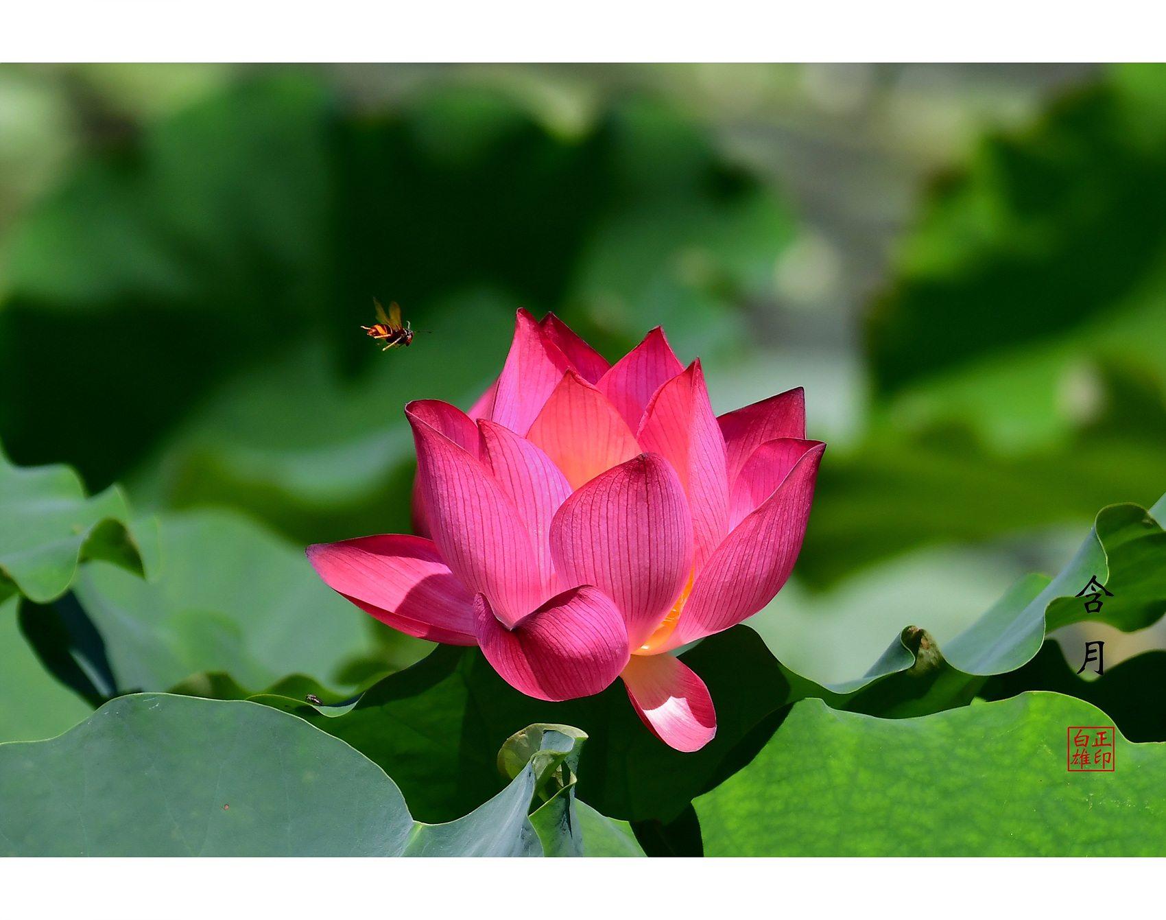   | PHOTO BY : 함월  |