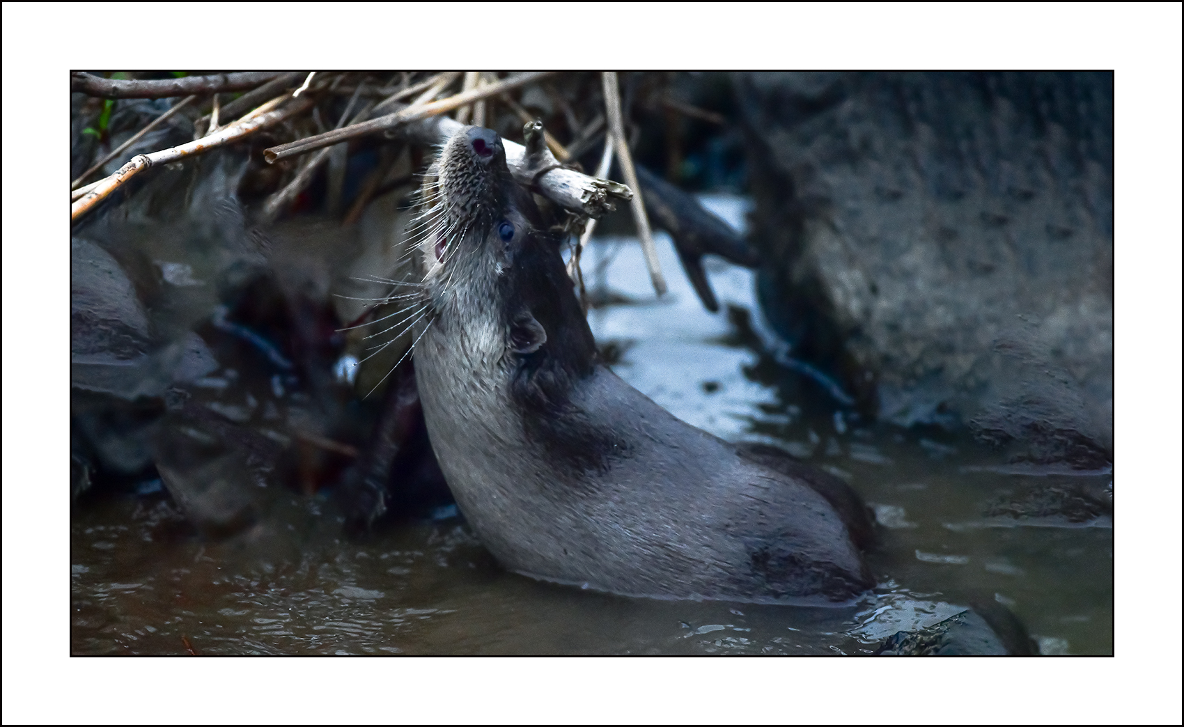   | PHOTO BY : 삿갓/정봉식  |