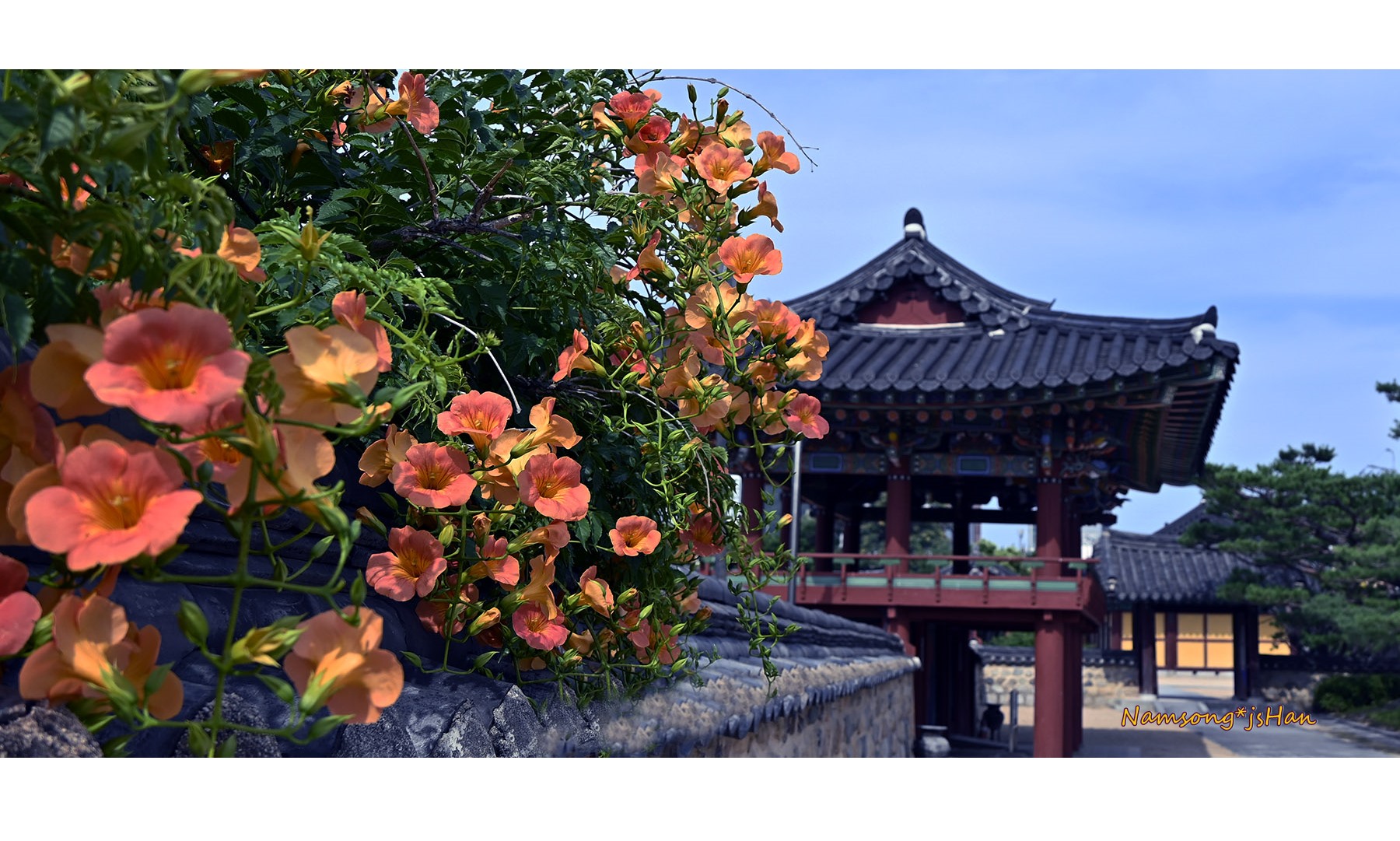 PHOTO BY HAN_JONGSOO | NIKON Z fc | 2024:06:21 16:10:35 | ISO-100 | 1/800 sec | f 4.5 | 22 mm | EV=-1.3 | ● WIDTH:1800 pixels  HEIGHT:885 pixels