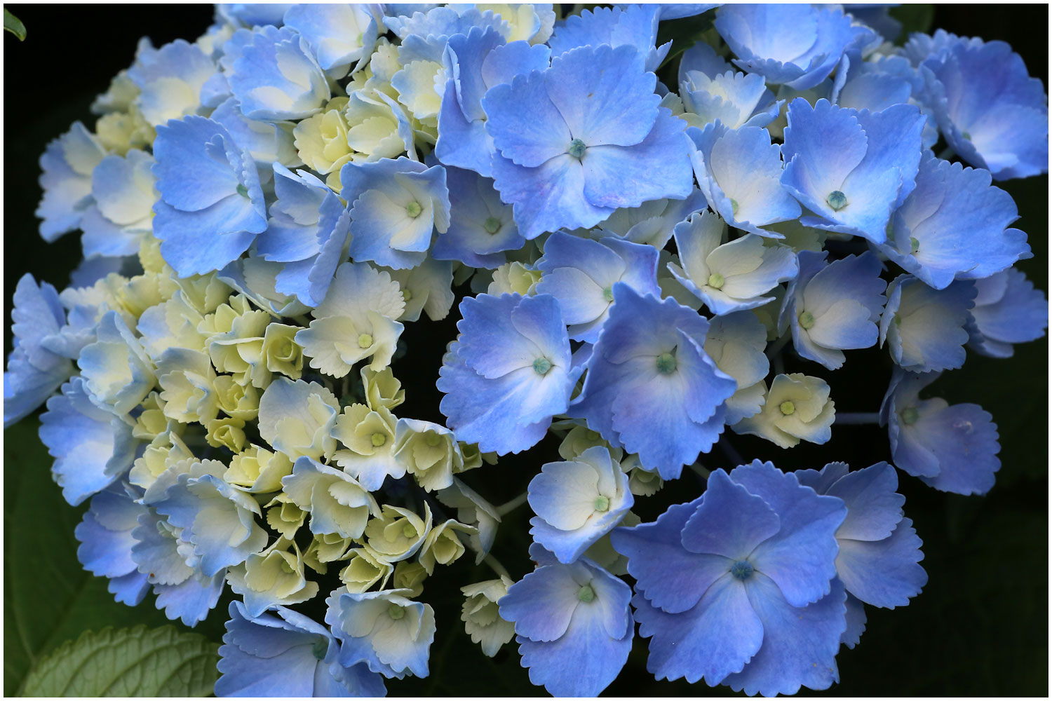 | PHOTO BY : 몰운대/조태열  |