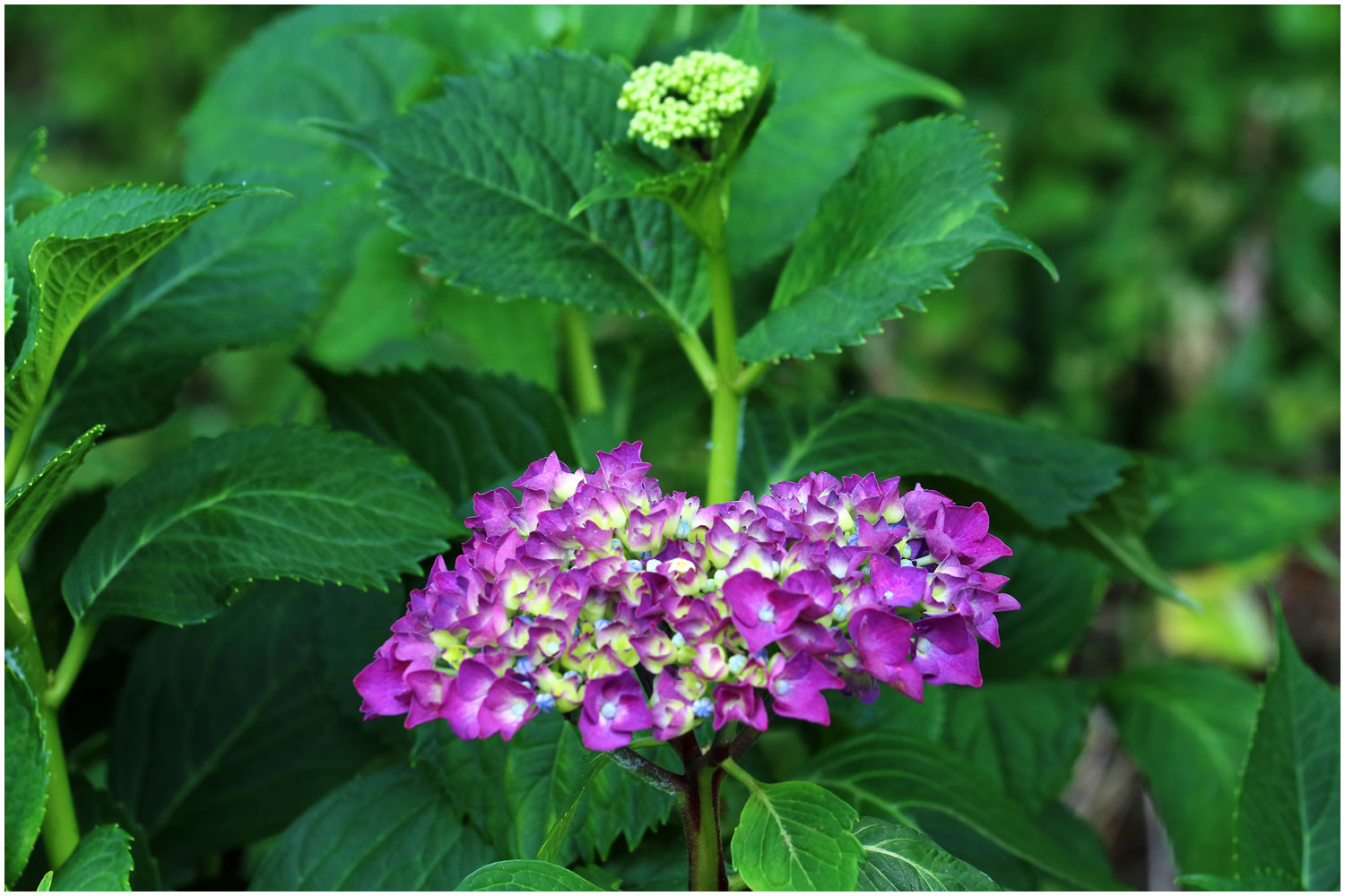 | PHOTO BY : 몰운대/조태열  |