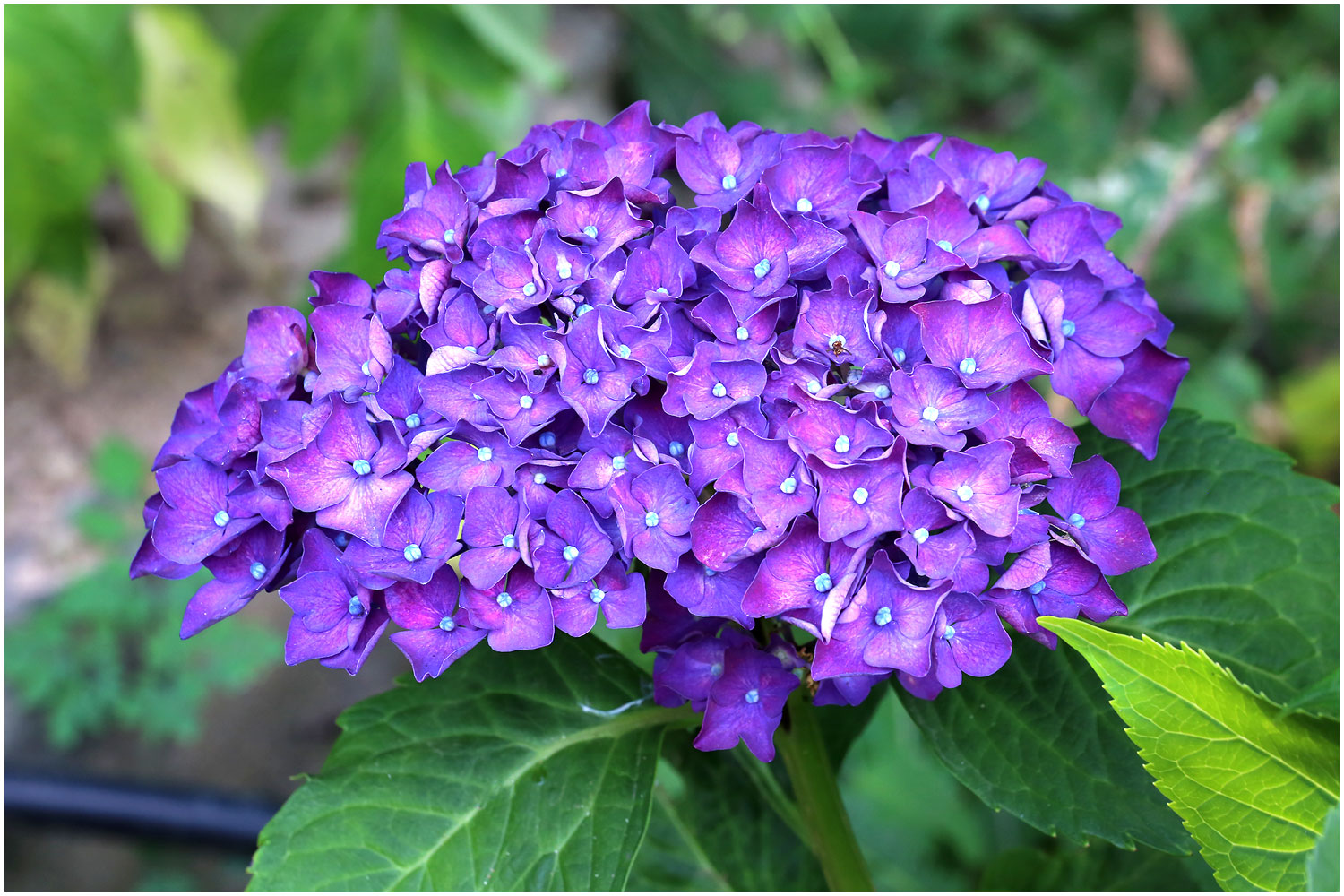 | PHOTO BY : 몰운대/조태열  |