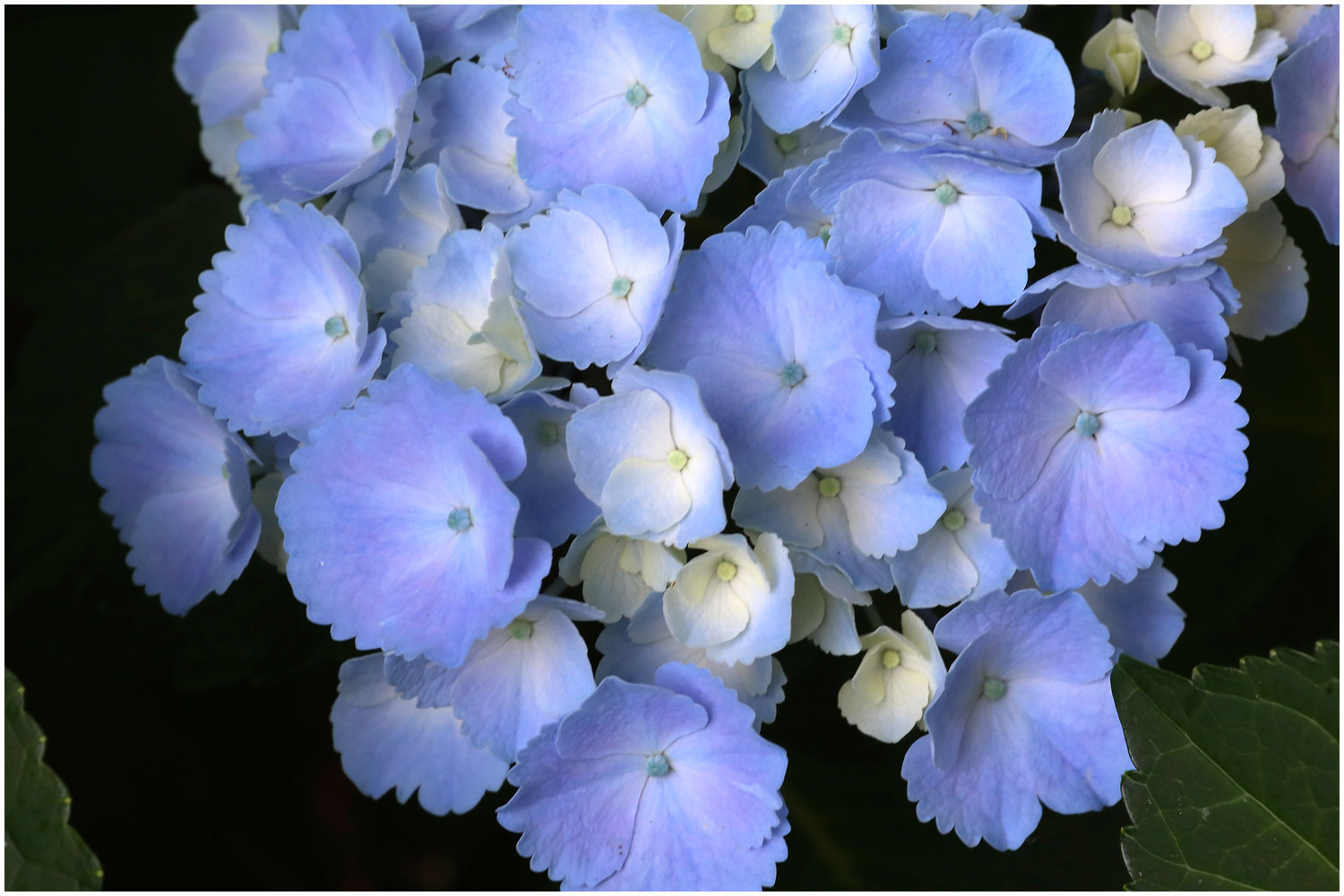 | PHOTO BY : 몰운대/조태열  |