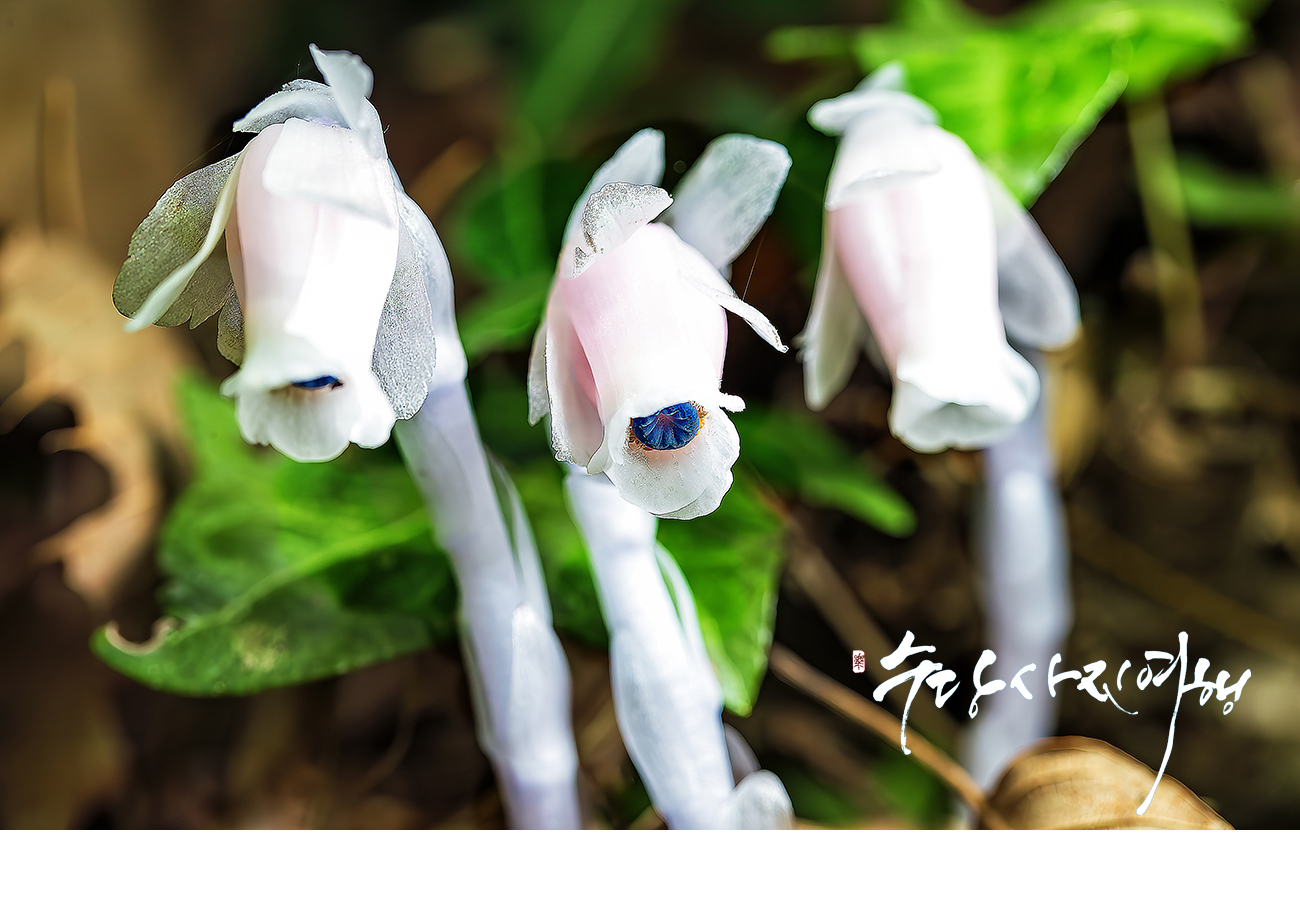 PHOTO BY :06:22 10:35:03Park Sang Don  | Canon |  | ISO- |  |  |  | EV=0 | ● WIDTH:  HEIGHT: