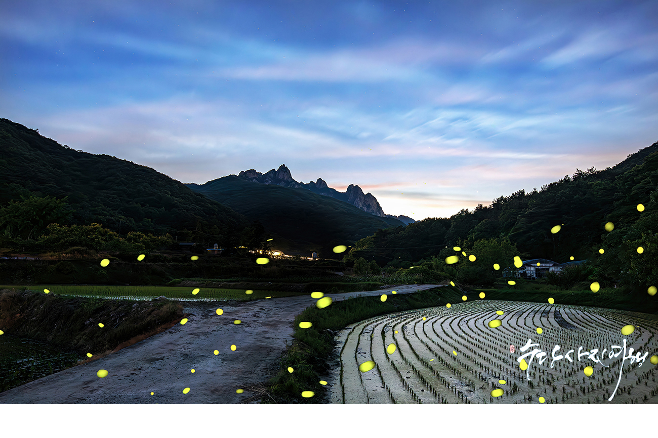 PHOTO BY Park Sang Don | Canon EOS 5D Mark IV | 2024:06:02 21:04:33 | ISO-800 | 20/1 sec | f 5.6 | 27 mm | EV=0 | ● WIDTH:1300 pixels  HEIGHT:867 pixels