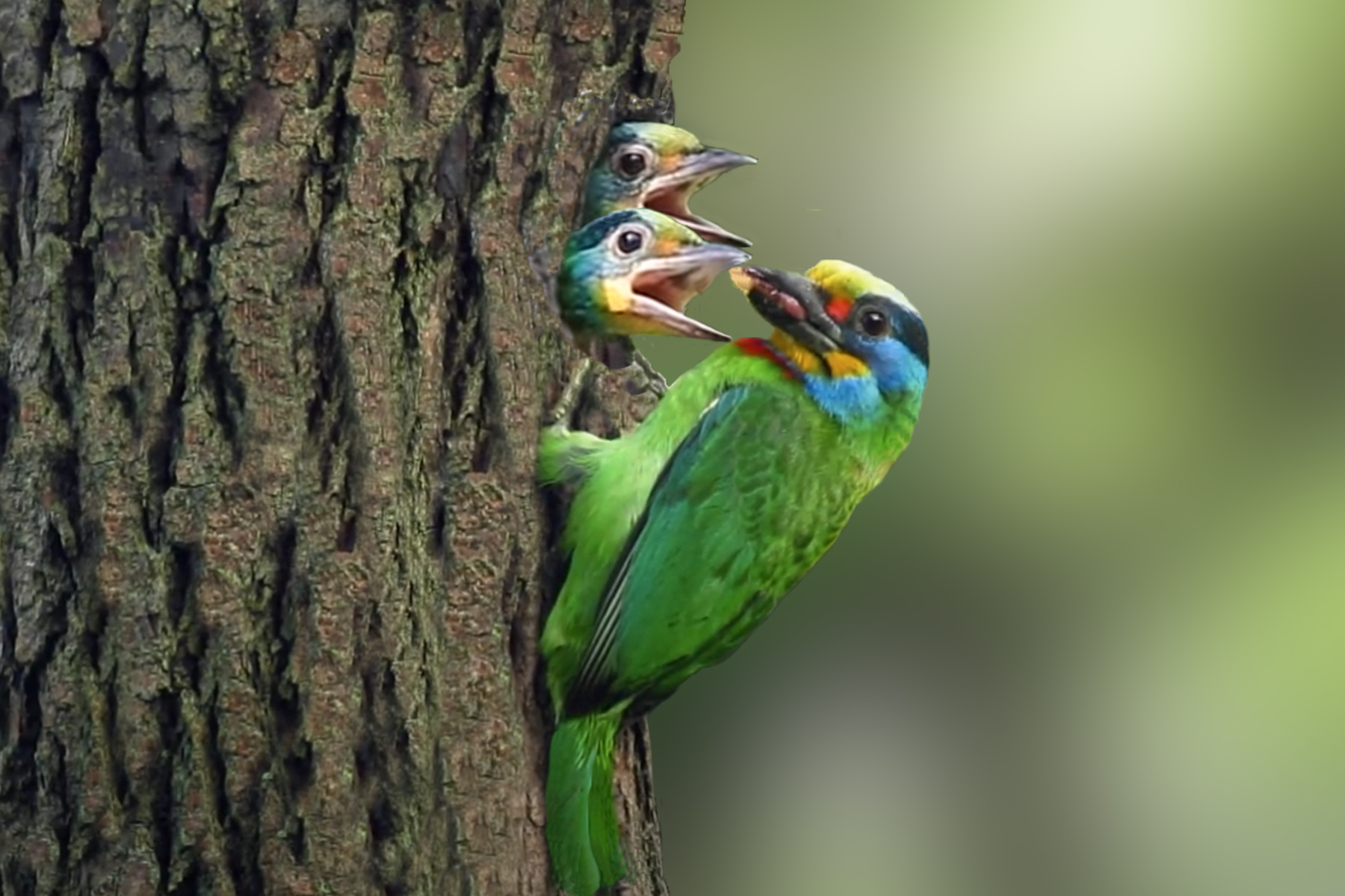 PHOTO BY HNalim | Canon EOS 7D Mark II | 2024:06:22 13:40:15 | ISO-100 | 1/500 sec | f 4.5 | 100 mm | EV=0 | ● WIDTH:1800 pixels  HEIGHT:1200 pixels