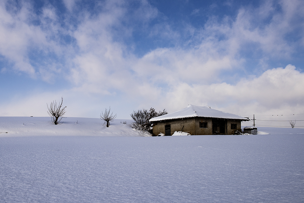 PHOTO BY  | NIKON D810 | 2018:01:11 10:14:15 | ISO-100 | 1/400 sec | f 10 | 31 mm | EV=0 | ● WIDTH:1000 pixels  HEIGHT:667 pixels