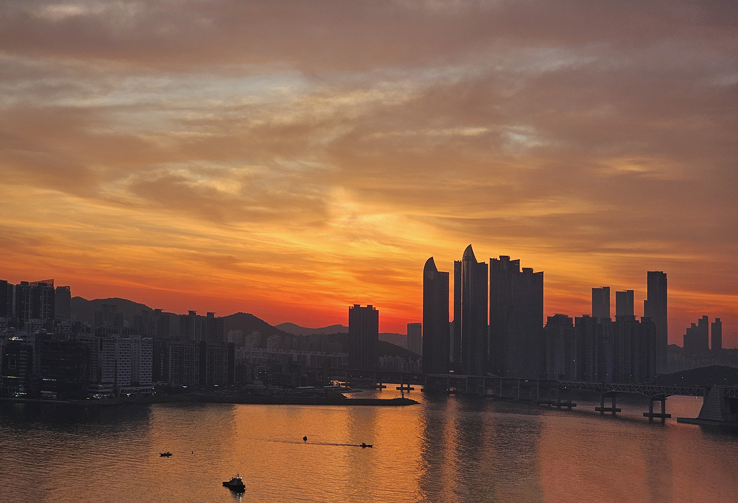 PHOTO BY  | Galaxy S23 Ultra | 2024:06:20 05:11:09 | ISO-50 | 1/400 sec | f 2.4 | 7.9 mm | EV=0 | ● WIDTH:1500 pixels  HEIGHT:1023 pixels