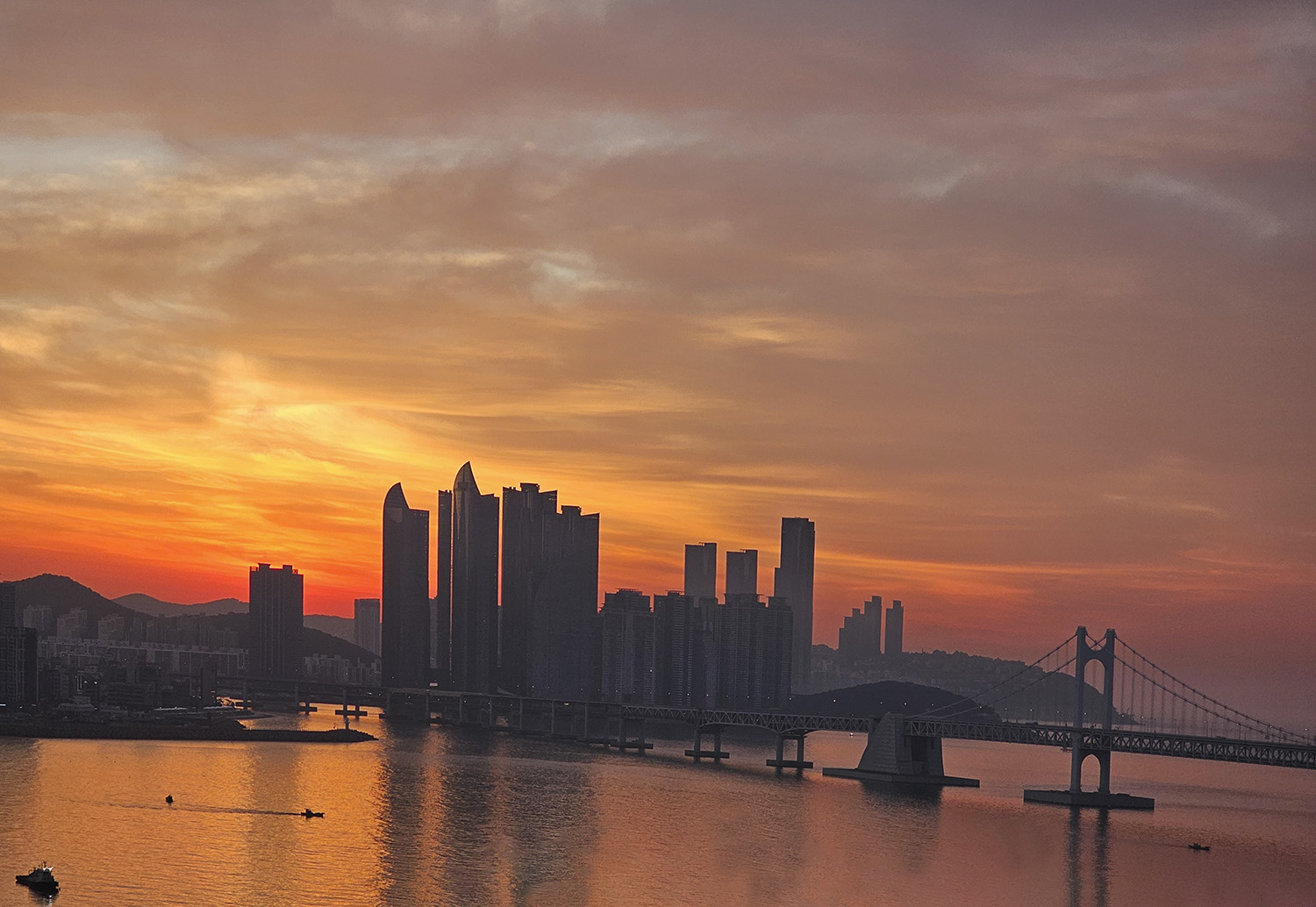 PHOTO BY  | Galaxy S23 Ultra | 2024:06:20 05:11:14 | ISO-50 | 1/320 sec | f 2.4 | 7.9 mm | EV=0 | ● WIDTH:1500 pixels  HEIGHT:1034 pixels