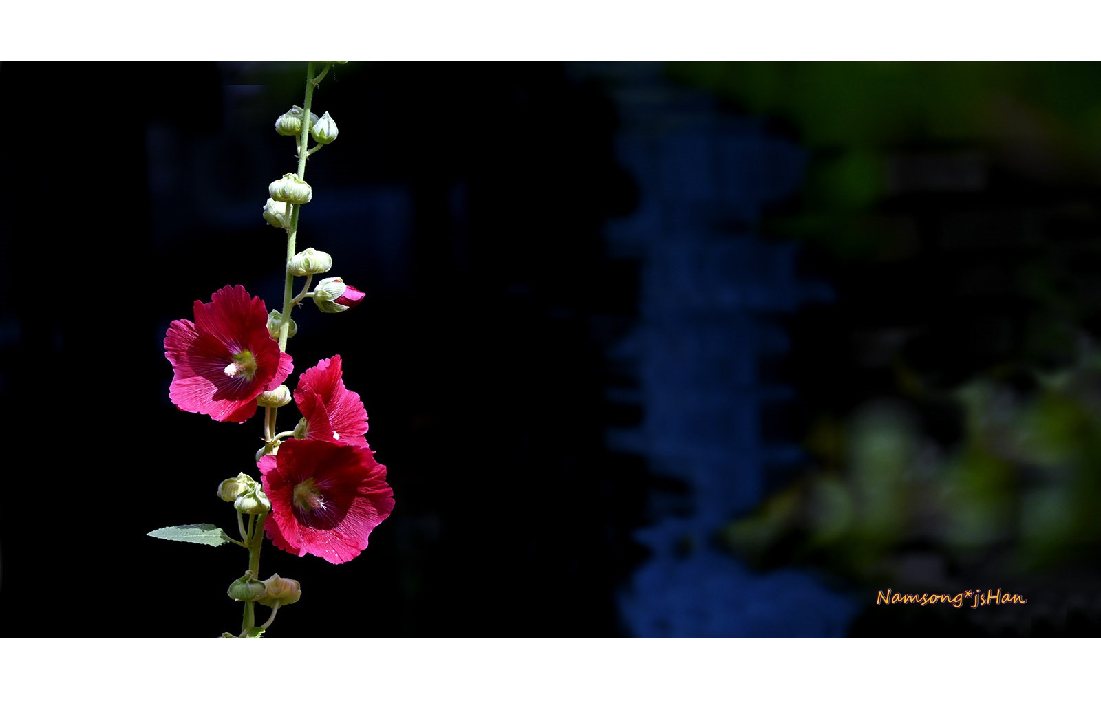 PHOTO BY HAN_JONGSOO | NIKON Z fc | 2024:06:21 15:05:27 | ISO-200 | 1/1250 sec | f 6.3 | 140 mm | EV=-1.3 | ● WIDTH:1600 pixels  HEIGHT:839 pixels