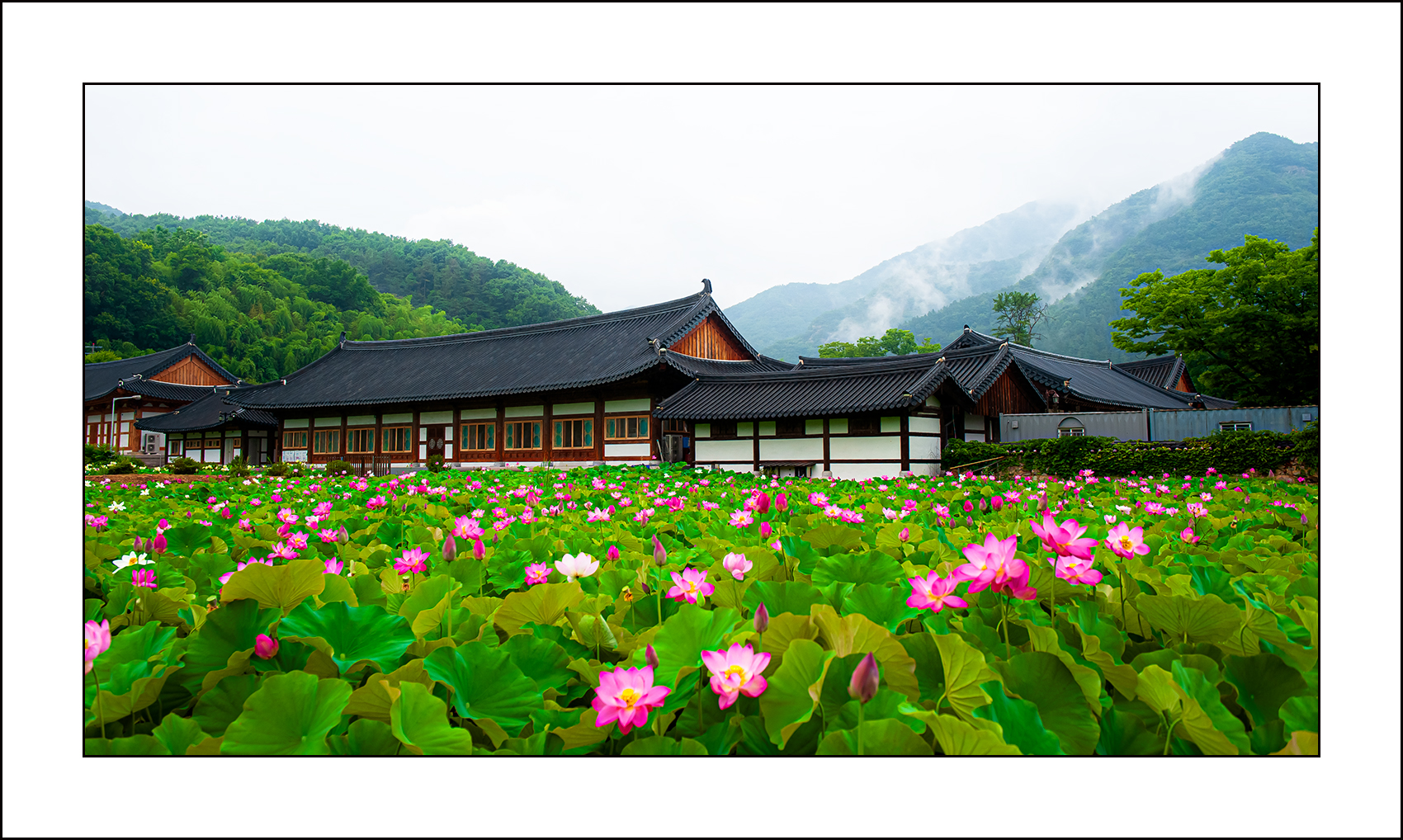   | PHOTO BY : 삿갓/정봉식  |