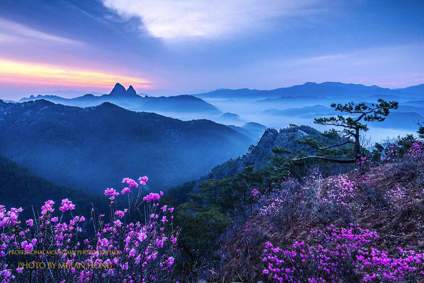 PHOTO BY Hong Mi Ran | NIKON D850 | 2024:04:06 05:48:41 | ISO-250 | 4/1 sec | f 13 | 19 mm | EV=-1.3 | ● WIDTH:1366 pixels  HEIGHT:911 pixels