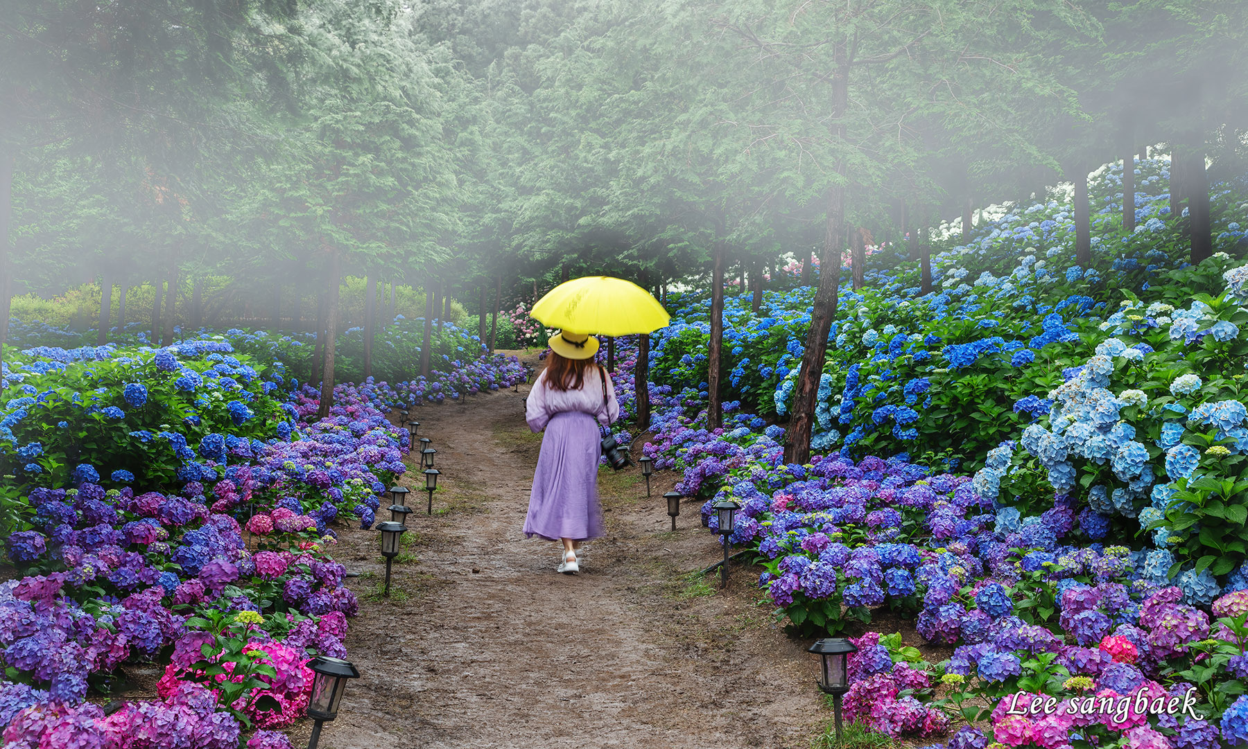 PHOTO BY  | Canon EOS 5D Mark IV | 2024:06:23 08:08:57 | ISO-320 | 1/13 sec | f 11 | 55 mm | EV=0 | ● WIDTH:1800 pixels  HEIGHT:1081 pixels