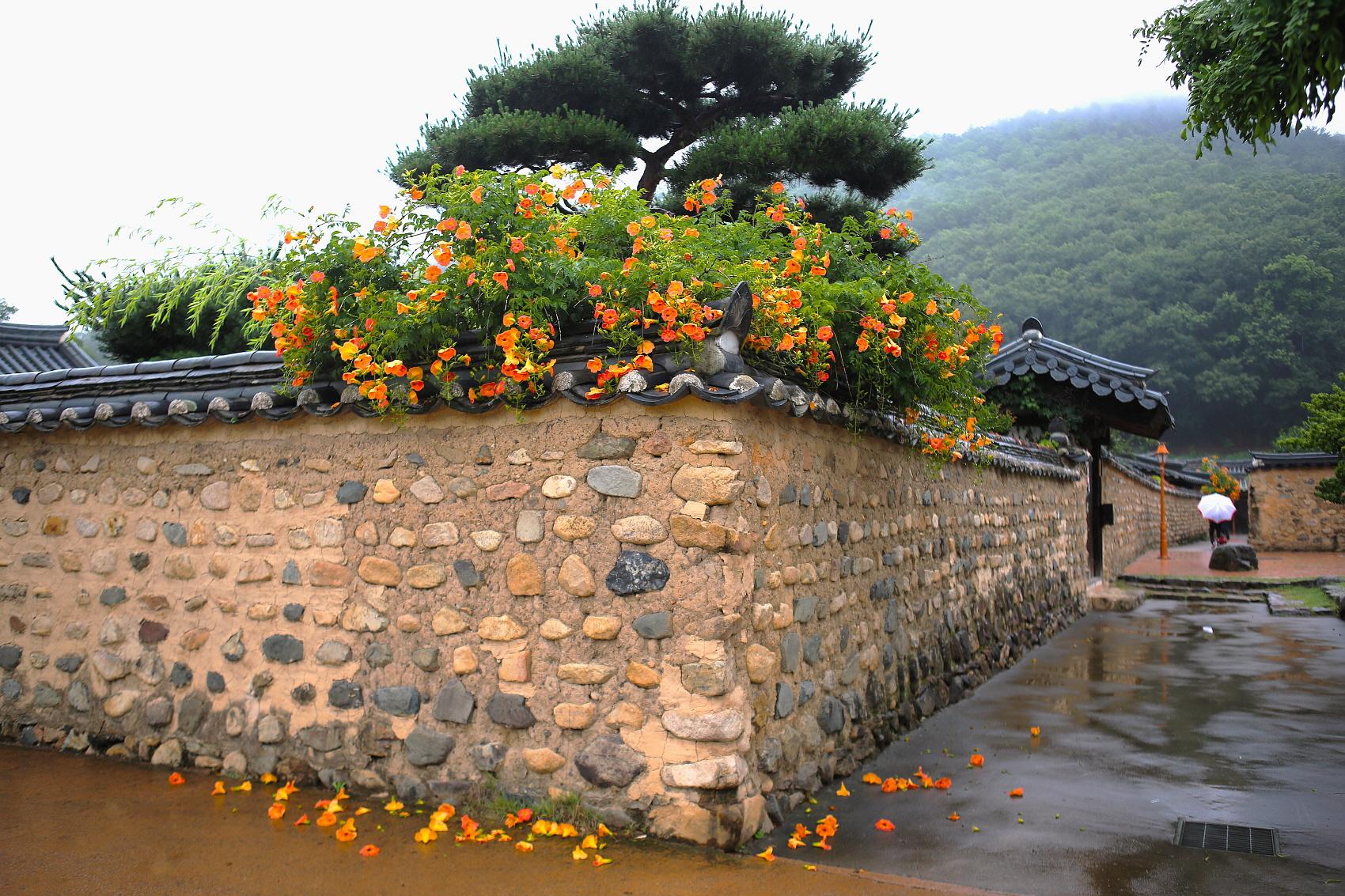 PHOTO BY  | Canon EOS 5D Mark III | 2023:06:21 07:06:31 | ISO-125 | 1/60 sec | f 2.8 | 70 mm | EV=0 | ● WIDTH:1700 pixels  HEIGHT:1133 pixels