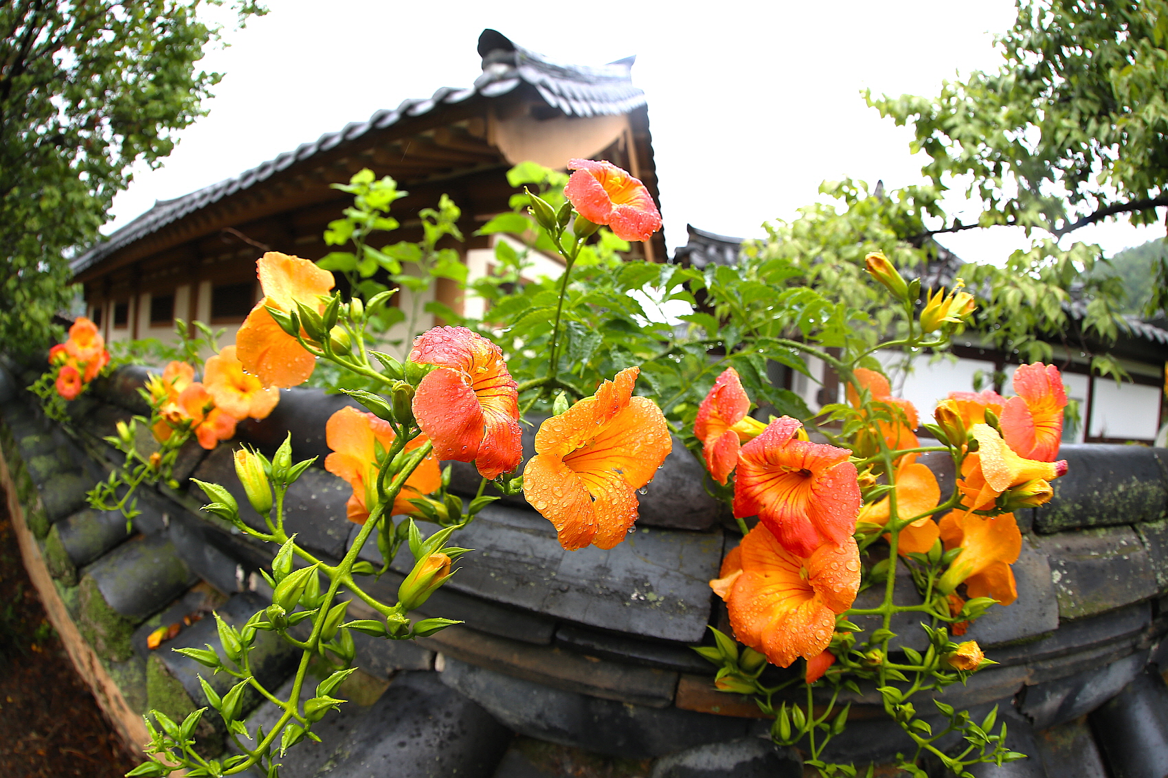 PHOTO BY  | Canon EOS 5D Mark III | 2023:06:21 07:41:58 | ISO-200 | 1/80 sec | f 5.6 | 15 mm | EV=0 | ● WIDTH:1700 pixels  HEIGHT:1133 pixels