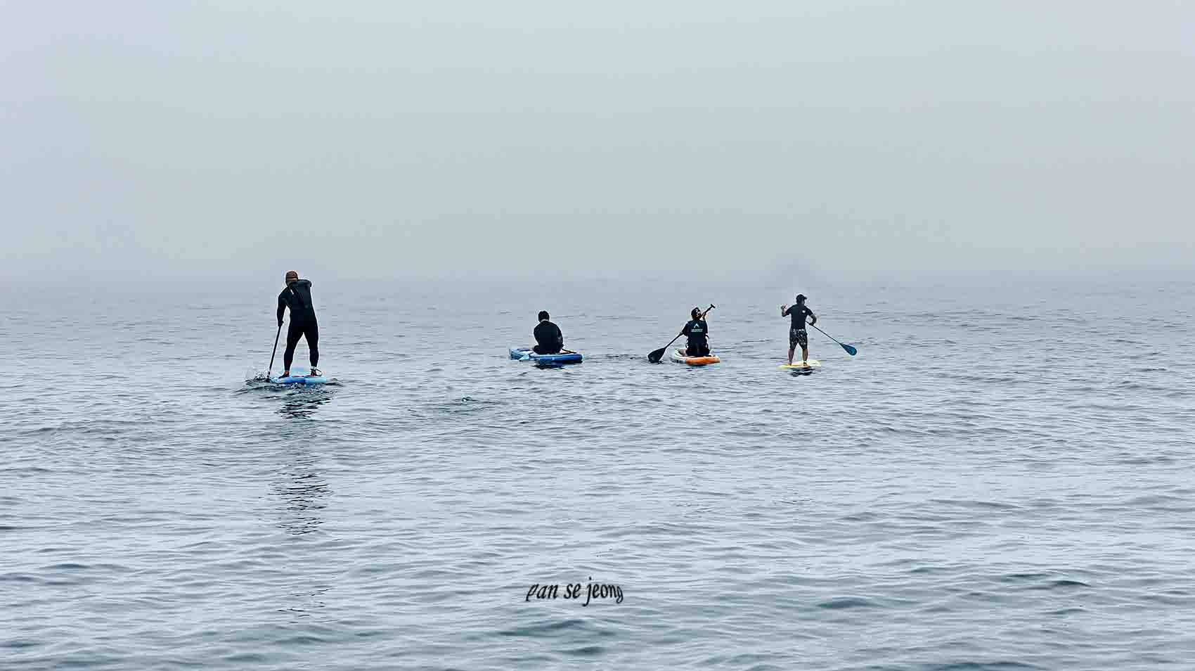 PHOTO BY jps | Canon EOS R6 | 2024:06:23 11:18:19 | ISO-100 | 1/125 sec | f 13 | 97 mm | EV=0 | ● WIDTH:1700 pixels  HEIGHT:954 pixels