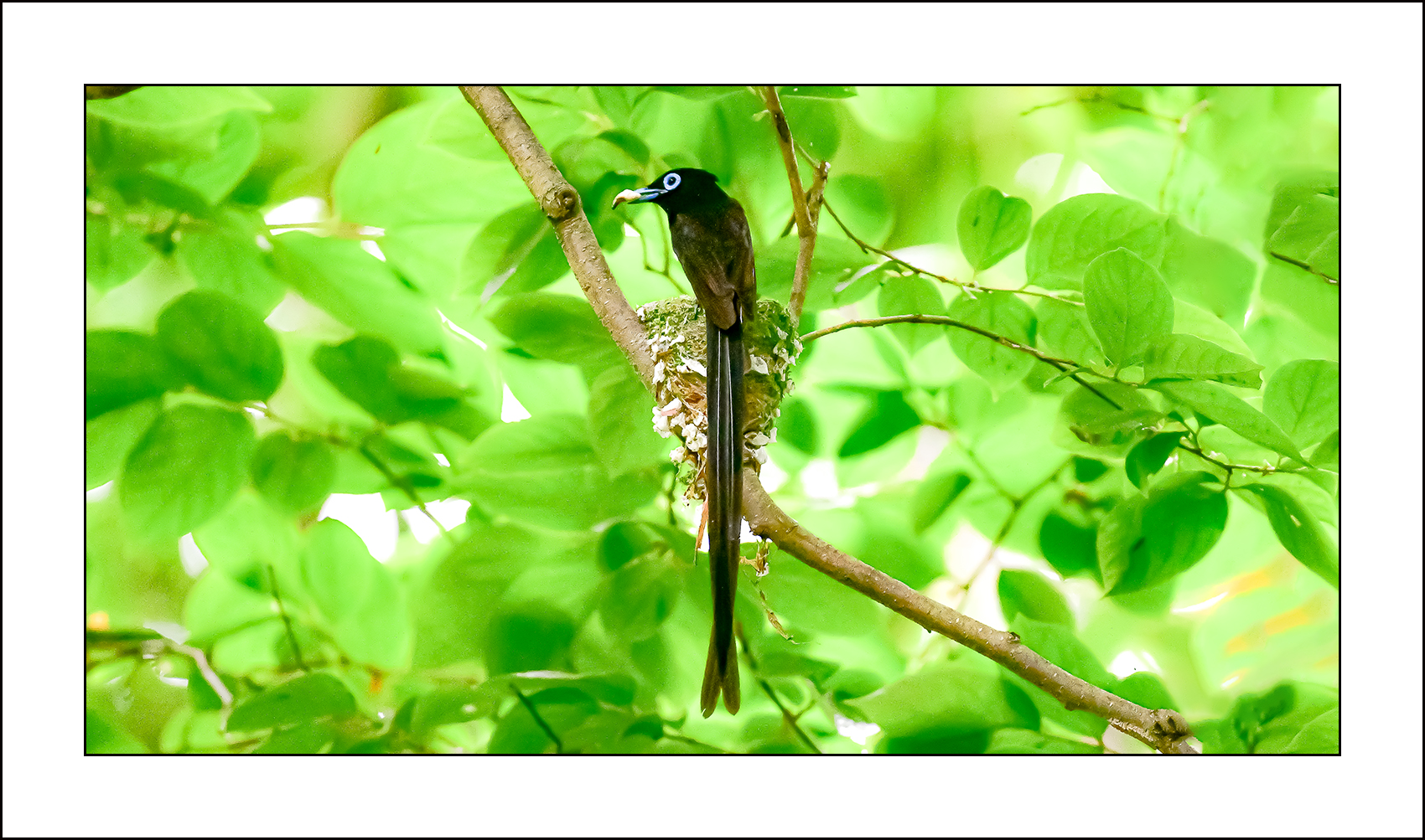   | PHOTO BY : 삿갓/정봉식  |