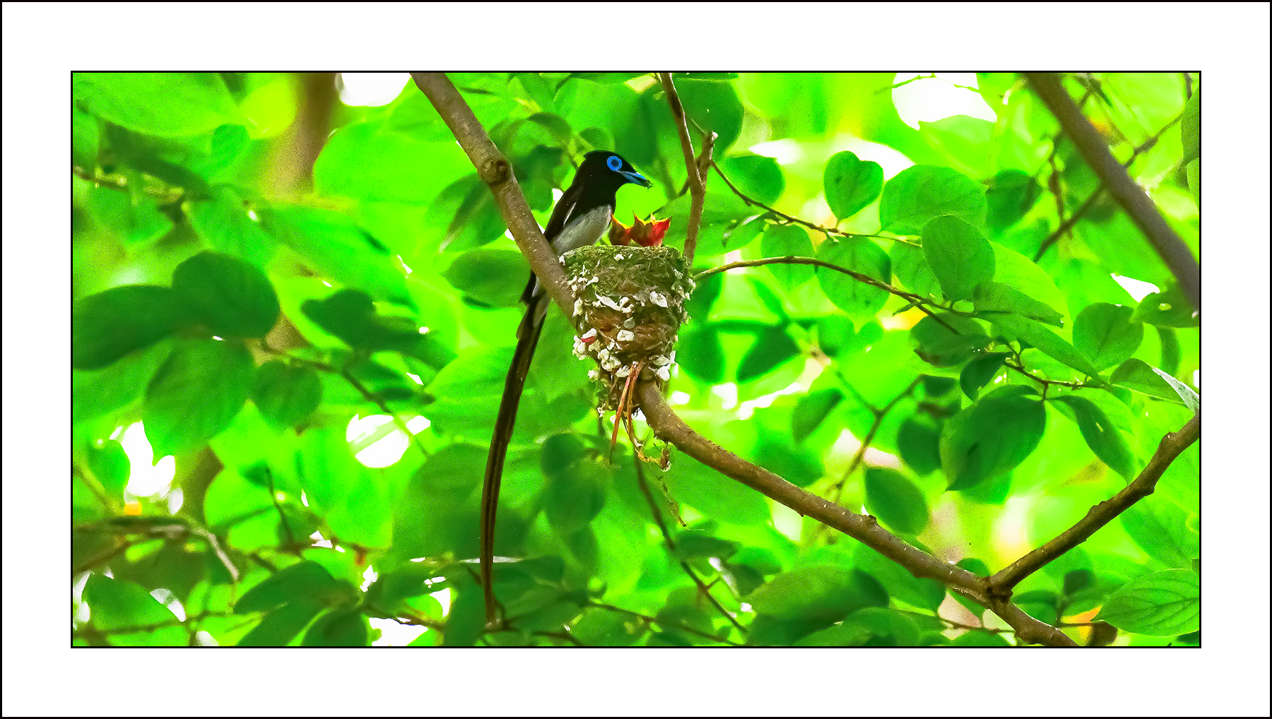   | PHOTO BY : 삿갓/정봉식  |