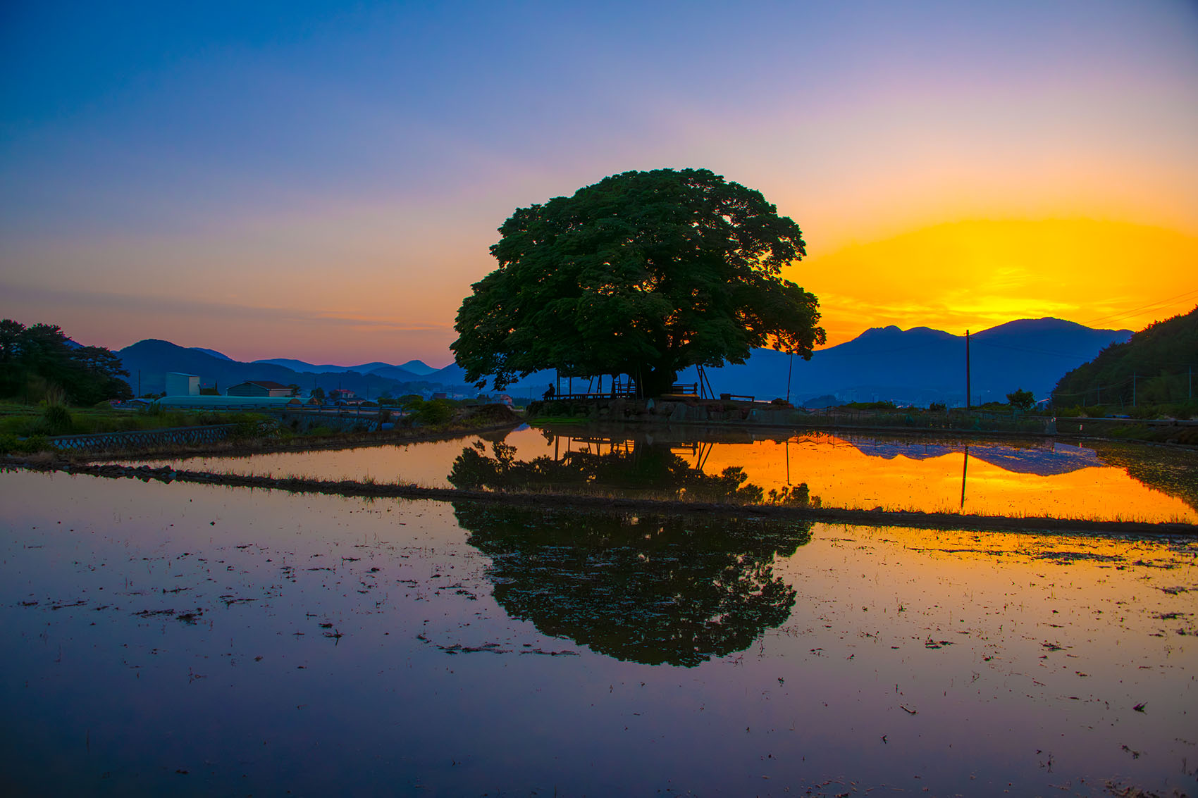 PHOTO BY  | NIKON D850 | 2024:05:19 18:58:46 | ISO-400 | 1/1600 sec | f 5.6 | 28 mm | EV=0 | ● WIDTH:1700 pixels  HEIGHT:1133 pixels