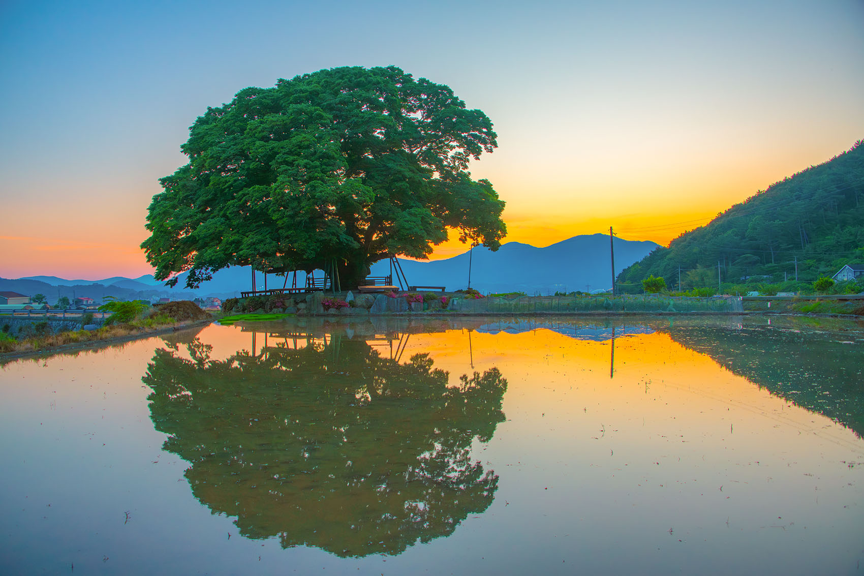 PHOTO BY  | NIKON D850 | 2024:05:19 19:08:48 | ISO-400 | 1/250 sec | f 5.6 | 28 mm | EV=0 | ● WIDTH:1700 pixels  HEIGHT:1133 pixels