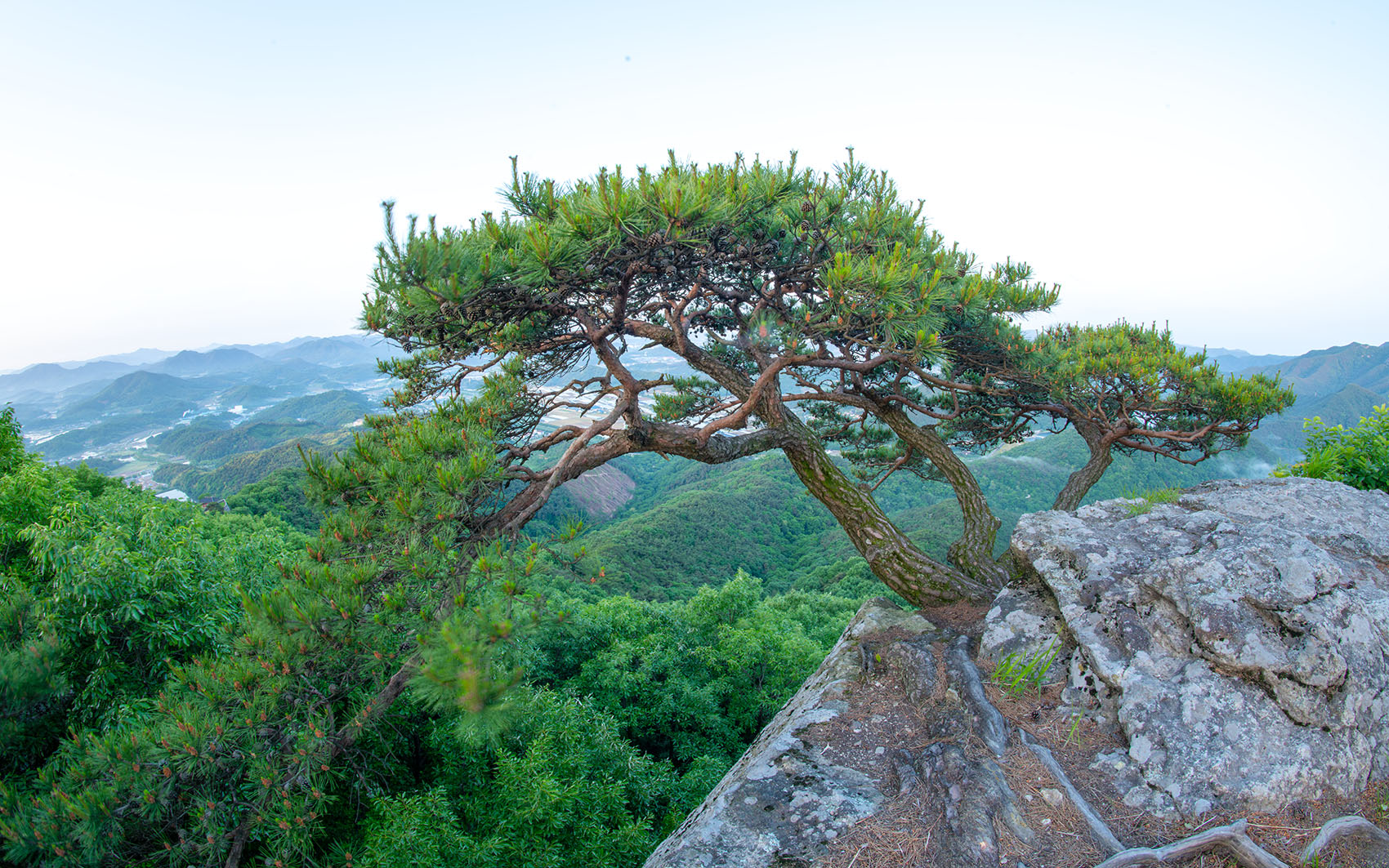 PHOTO BY  | NIKON D850 | 2024:05:18 05:26:18 | ISO-80 | 8/10 sec | f 22 | 12 mm | EV=0 | ● WIDTH:1700 pixels  HEIGHT:1063 pixels