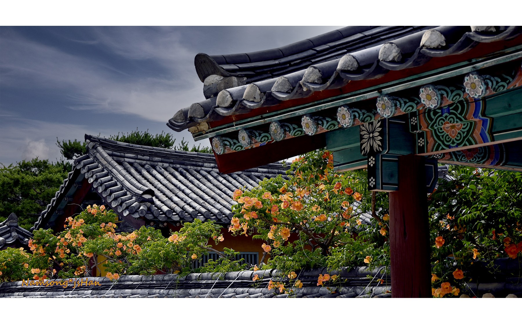 PHOTO BY HAN_JONGSOO | NIKON Z fc | 2024:06:21 15:24:26 | ISO-180 | 1/1250 sec | f 5.6 | 41 mm | EV=-1.3 | ● WIDTH:1800 pixels  HEIGHT:939 pixels