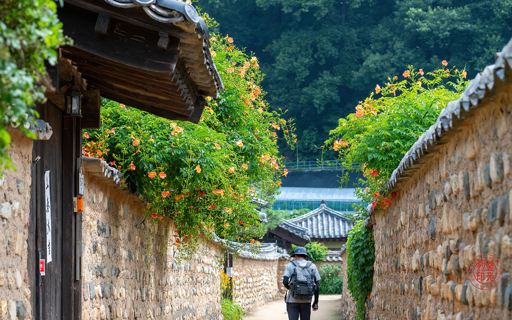 PHOTO BY KKY_CWANG_YEOL | NIKON Z 8 | 2024:06:24 10:00:54 | ISO-250 | 1/320 sec | f 6.3 | 110 mm | EV=0 | ● WIDTH:1700 pixels  HEIGHT:1063 pixels