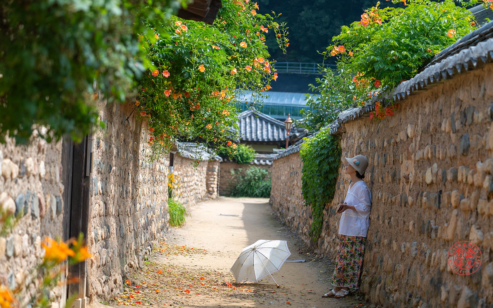 PHOTO BY KKY_CWANG_YEOL | NIKON Z 8 | 2024:06:24 10:12:59 | ISO-250 | 1/1000 sec | f 4.5 | 110 mm | EV=0.3 | ● WIDTH:1700 pixels  HEIGHT:1063 pixels